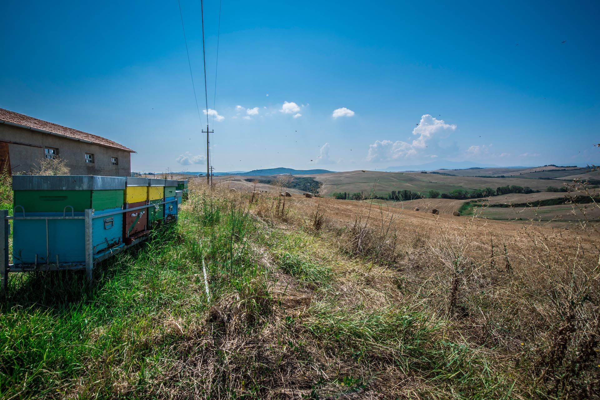 Hus i Montalcino, Siena 10058605