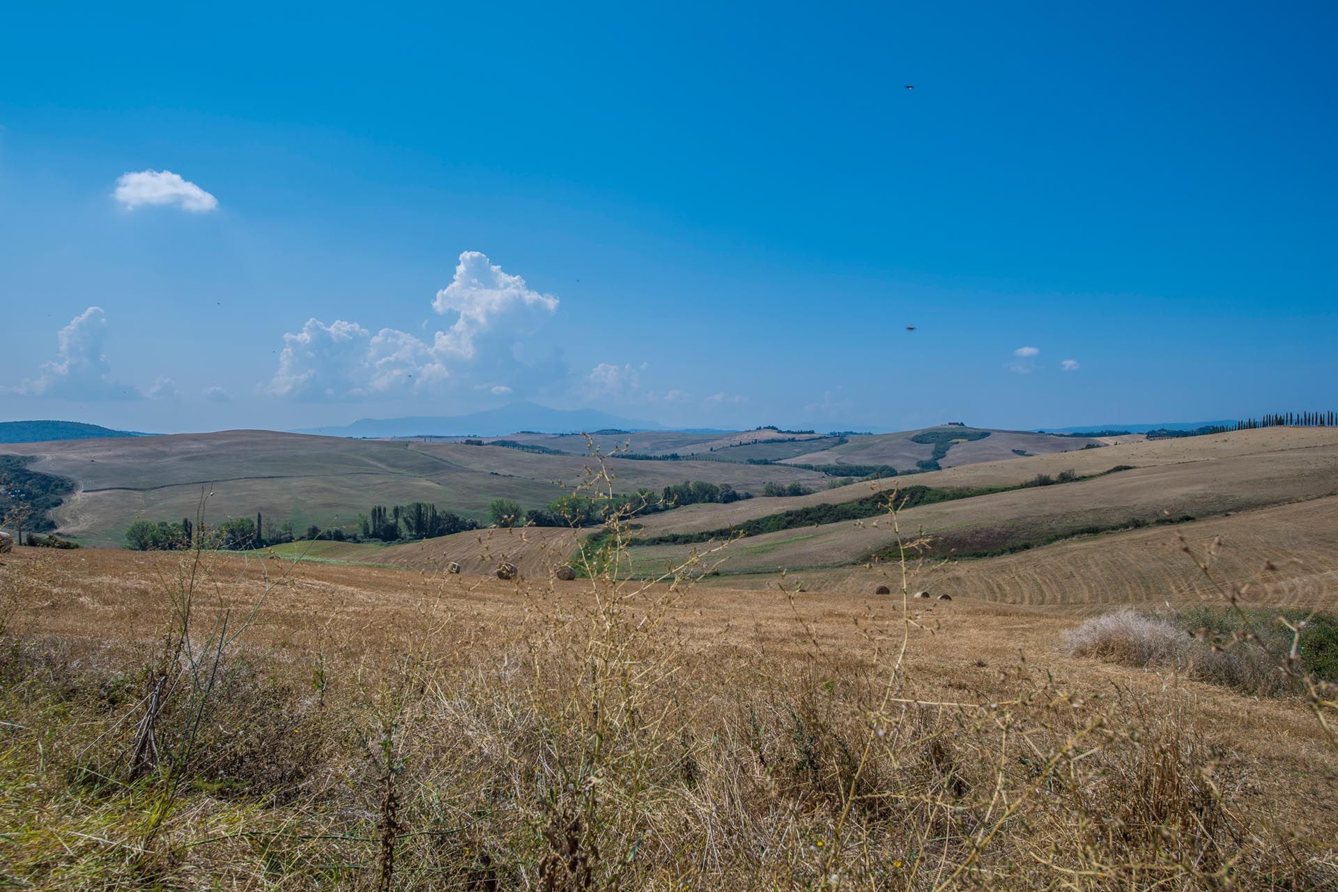 Hus i Montalcino, Siena 10058605