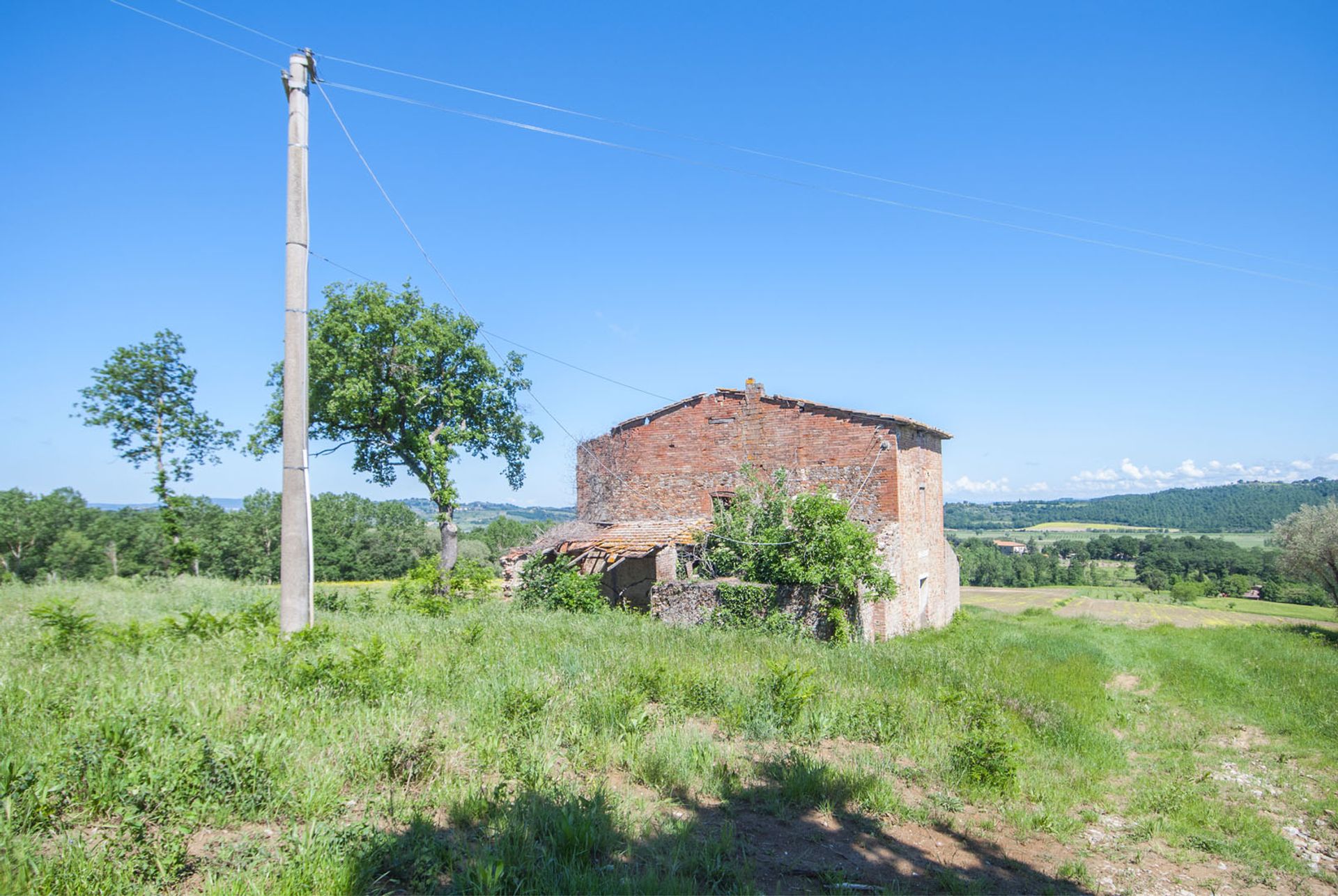 Lain di Citta Della Pieve, Perugia 10058611