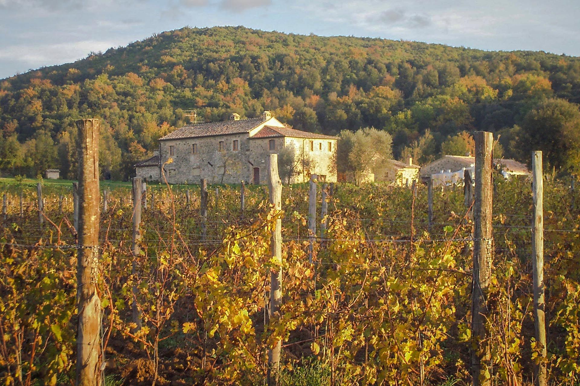 Otro en Sant'Angelo in Colle, toscana 10058638