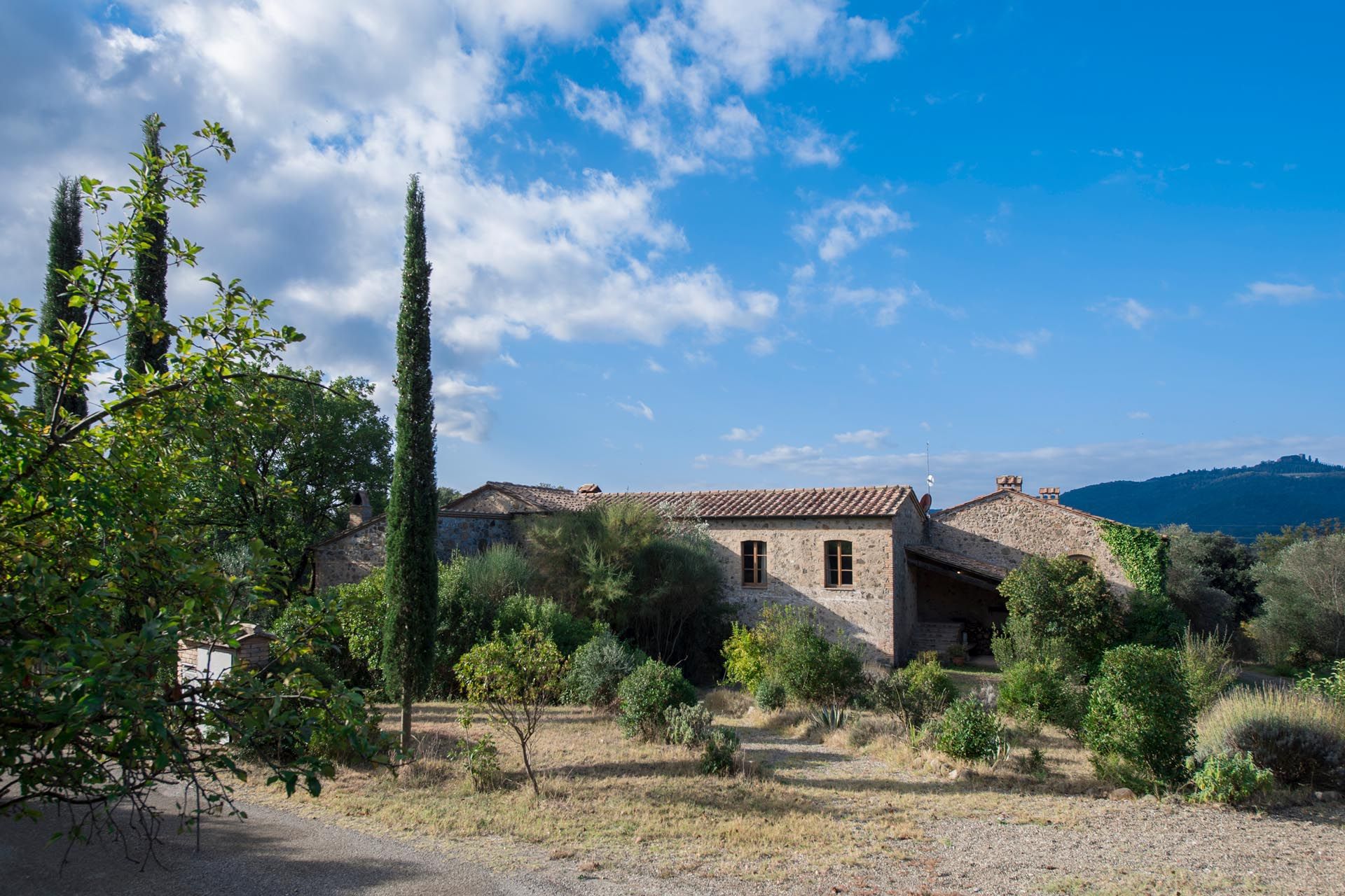 Otro en Montalcino, Siena 10058638