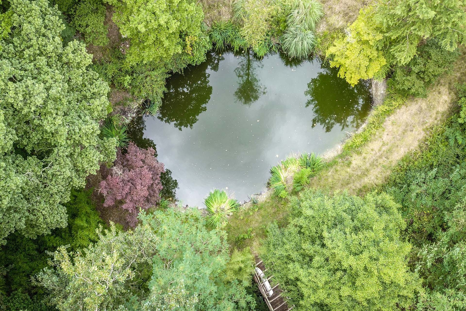 آخر في Castellina in Chianti, Siena 10058653