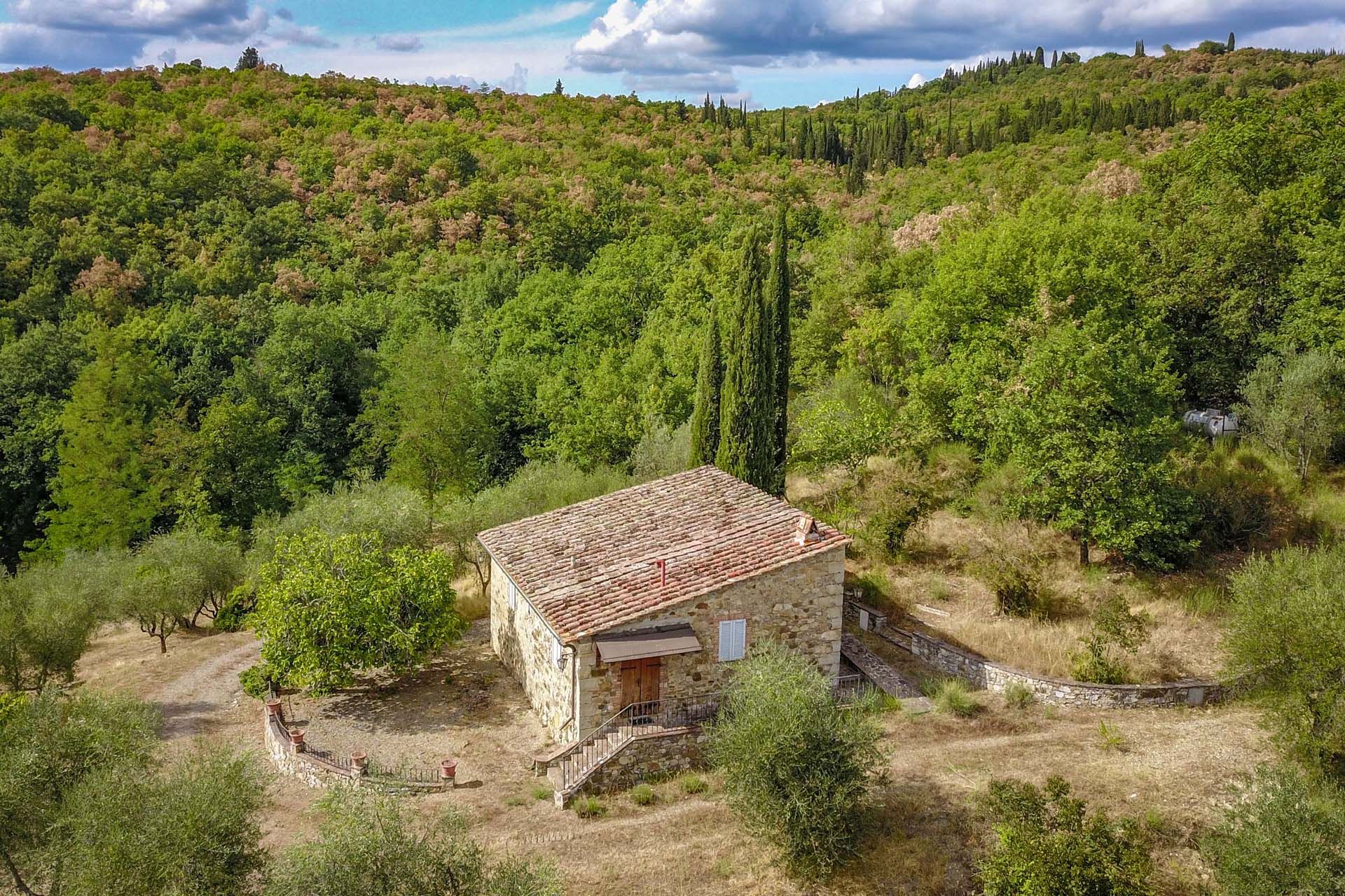 آخر في Castellina in Chianti, Siena 10058653