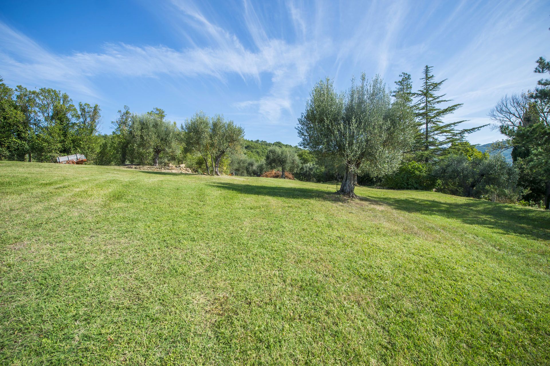 其他 在 Umbertide, Perugia 10058670