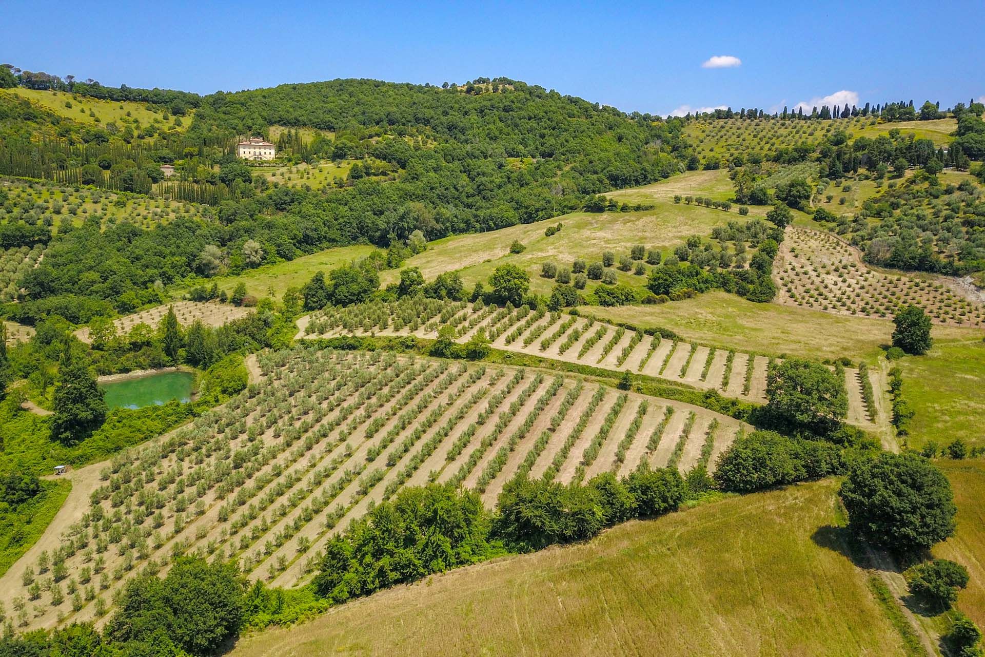 Talo sisään Citta Di Castello, Perugia 10058683