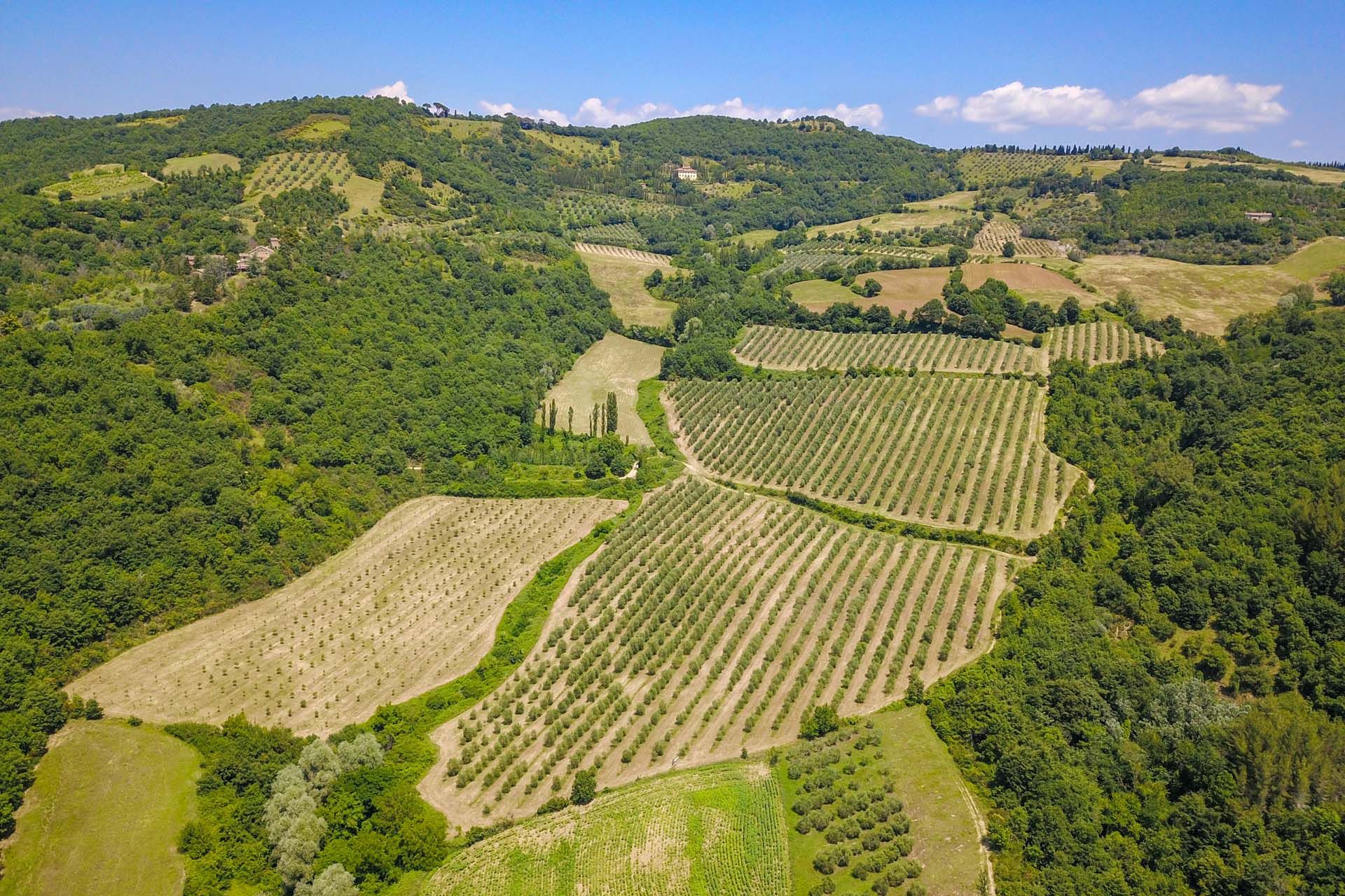 Talo sisään Citta Di Castello, Perugia 10058683