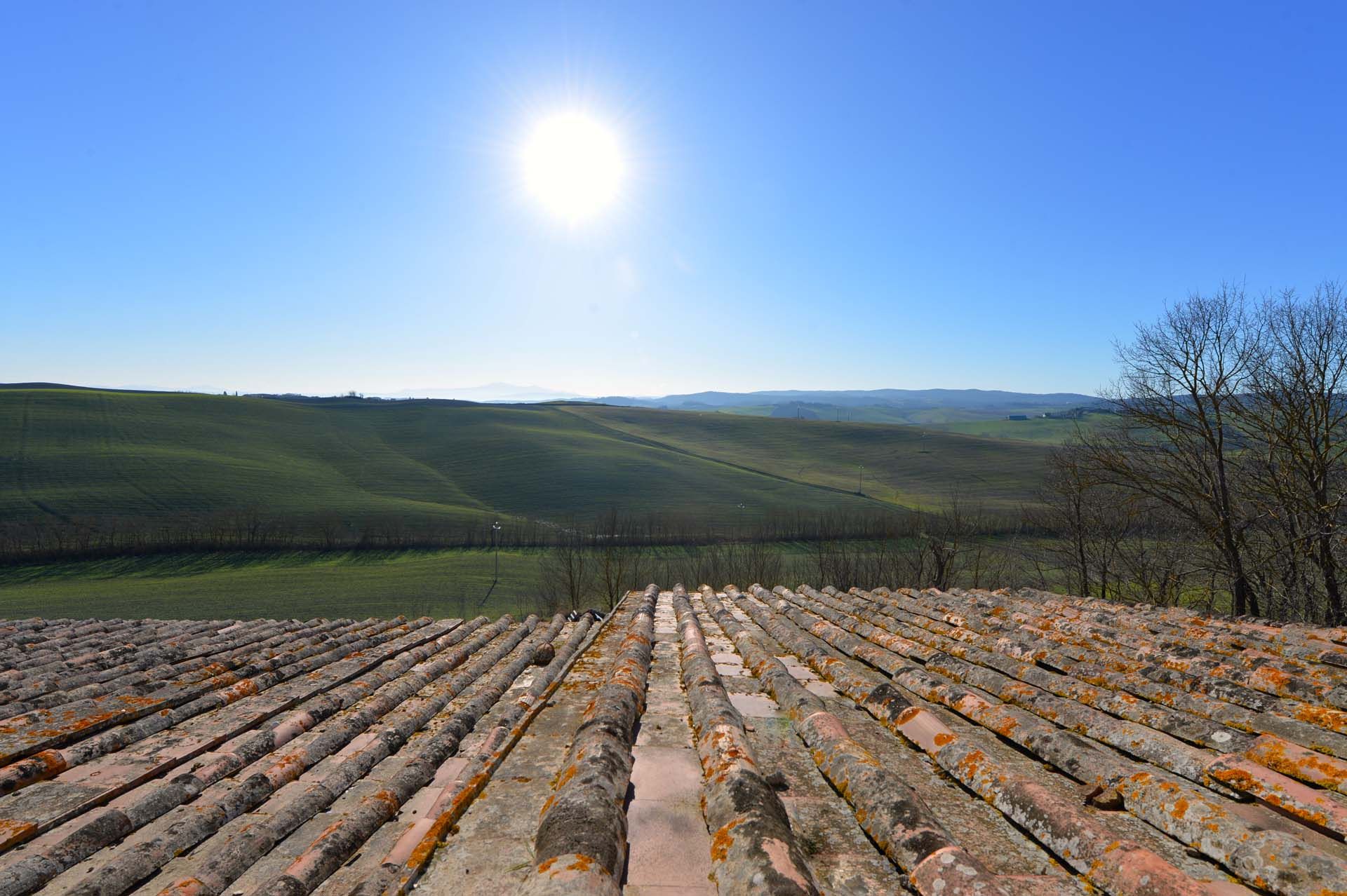 Hus i Siena, Siena 10058694