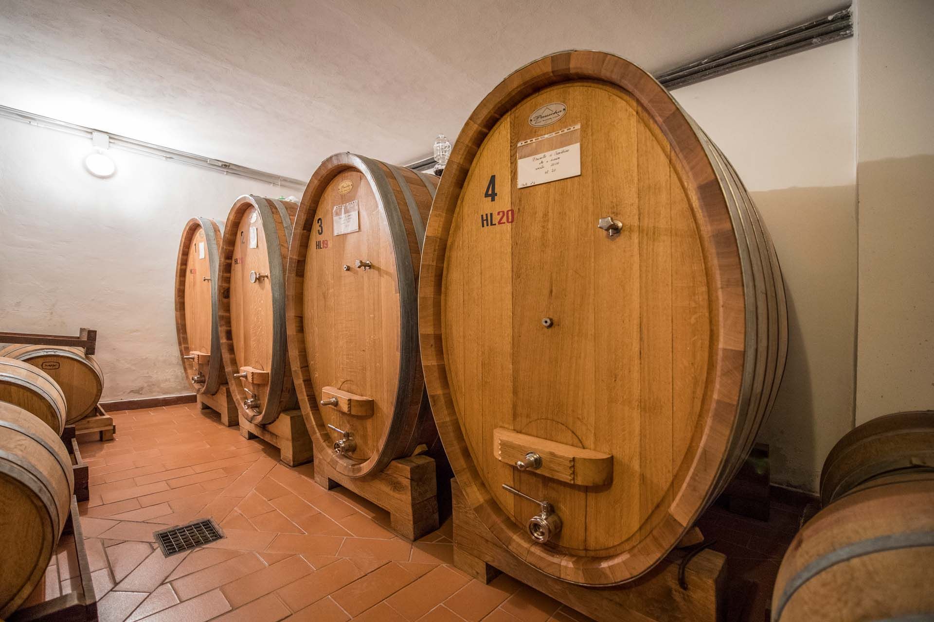 آخر في Montalcino, Siena 10058697