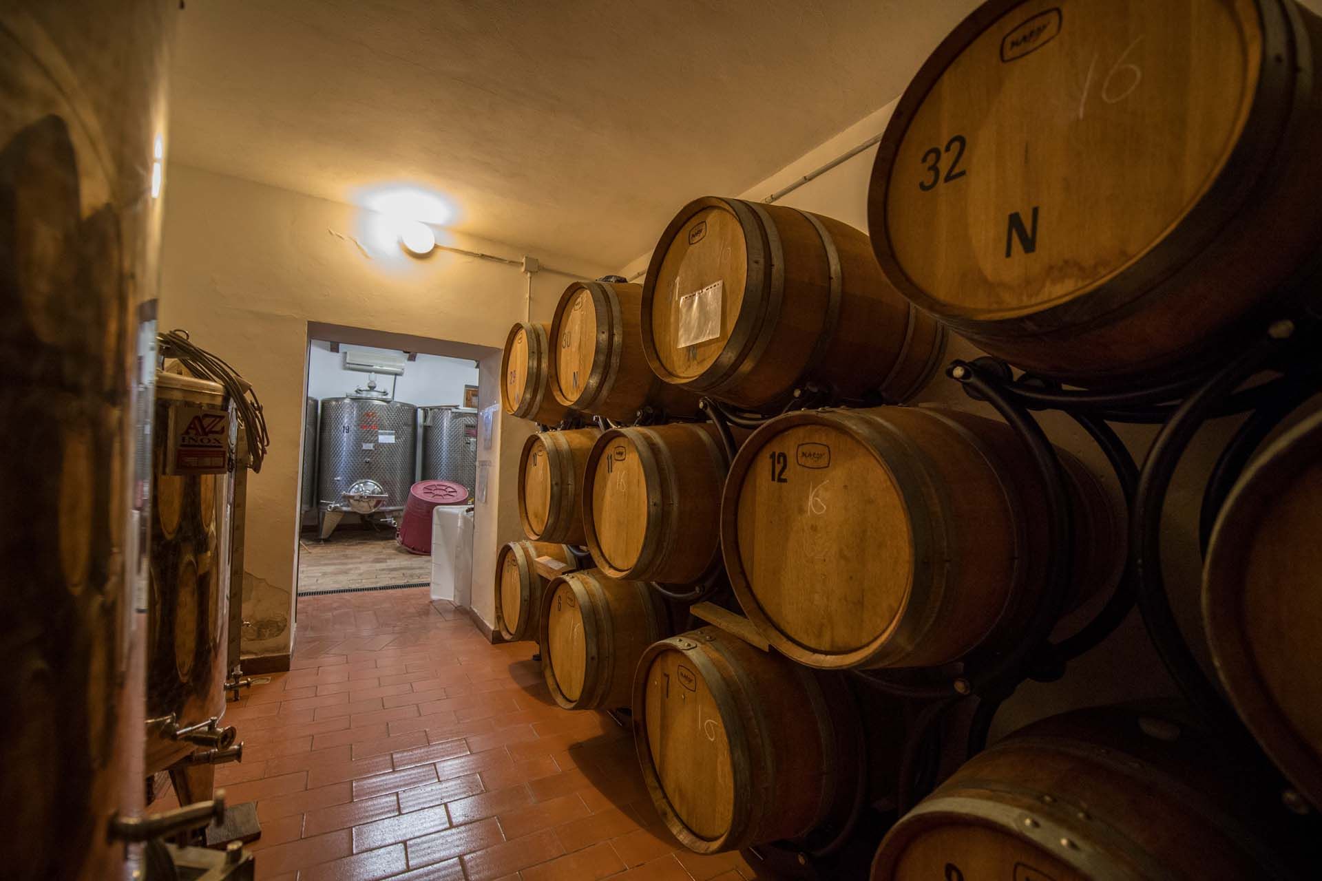 آخر في Montalcino, Siena 10058697