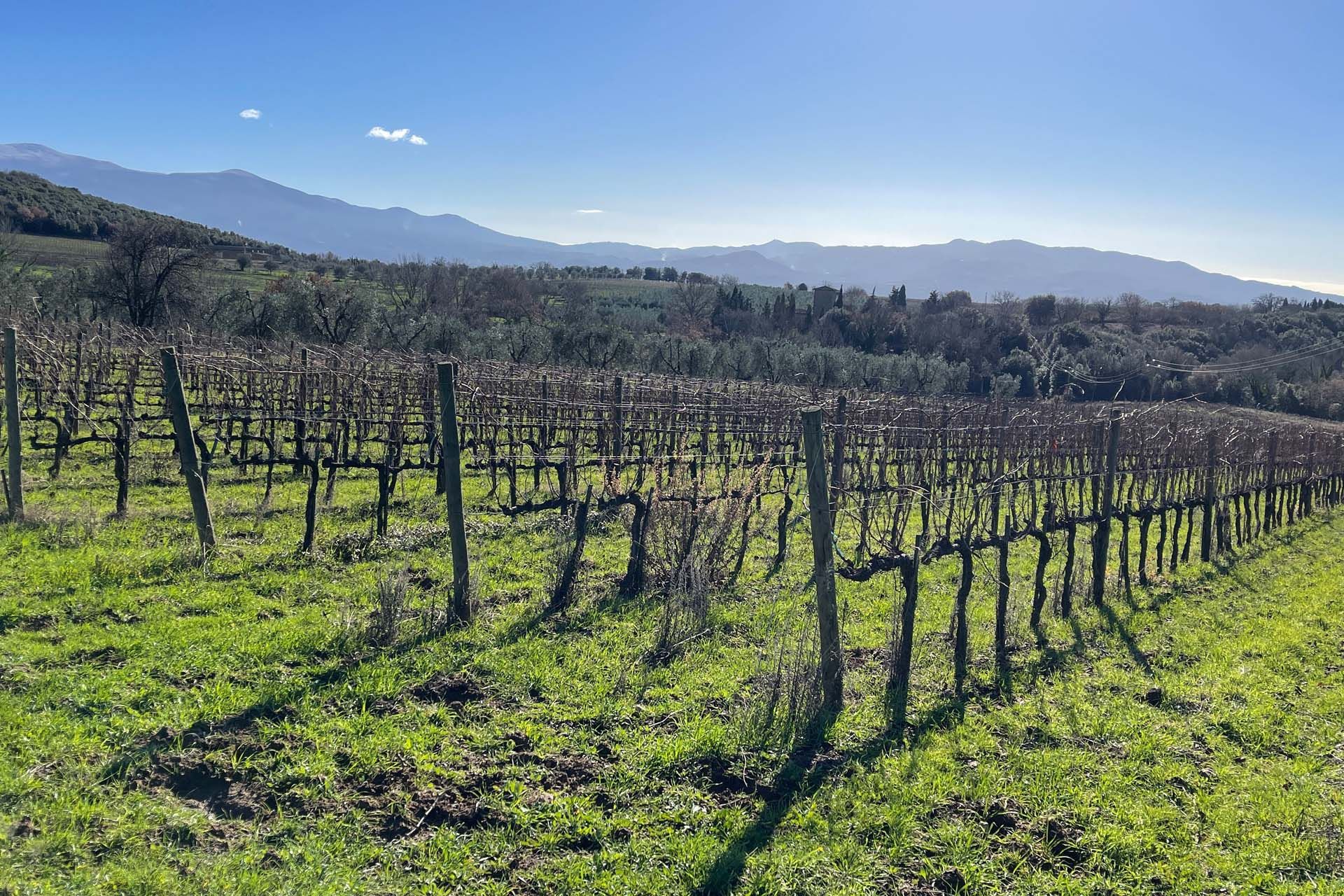 其他 在 Montalcino, Tuscany 10058698