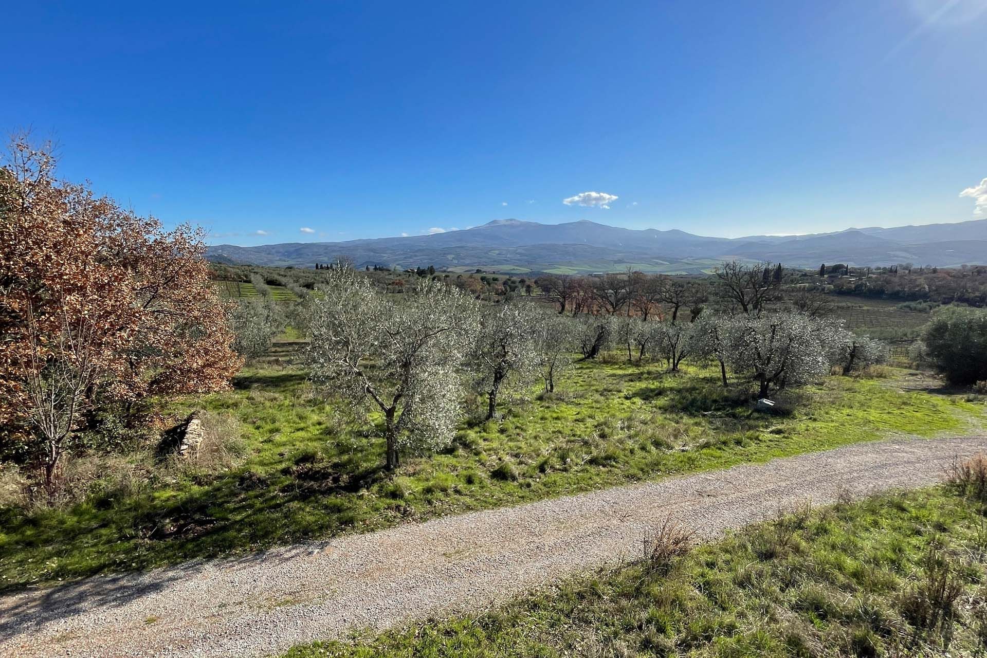 其他 在 Montalcino, Tuscany 10058698