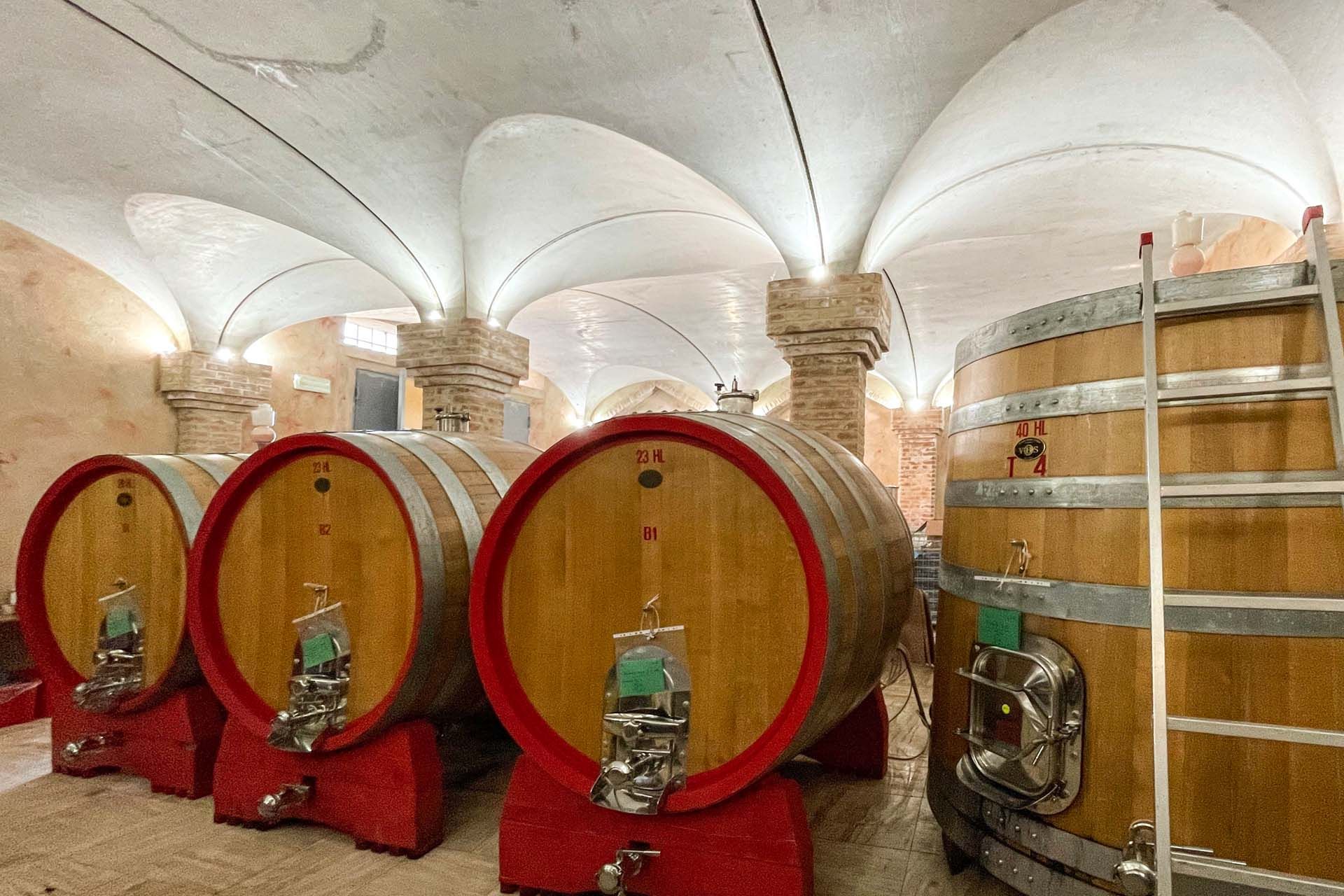 다른 에 Montalcino, Siena 10058698