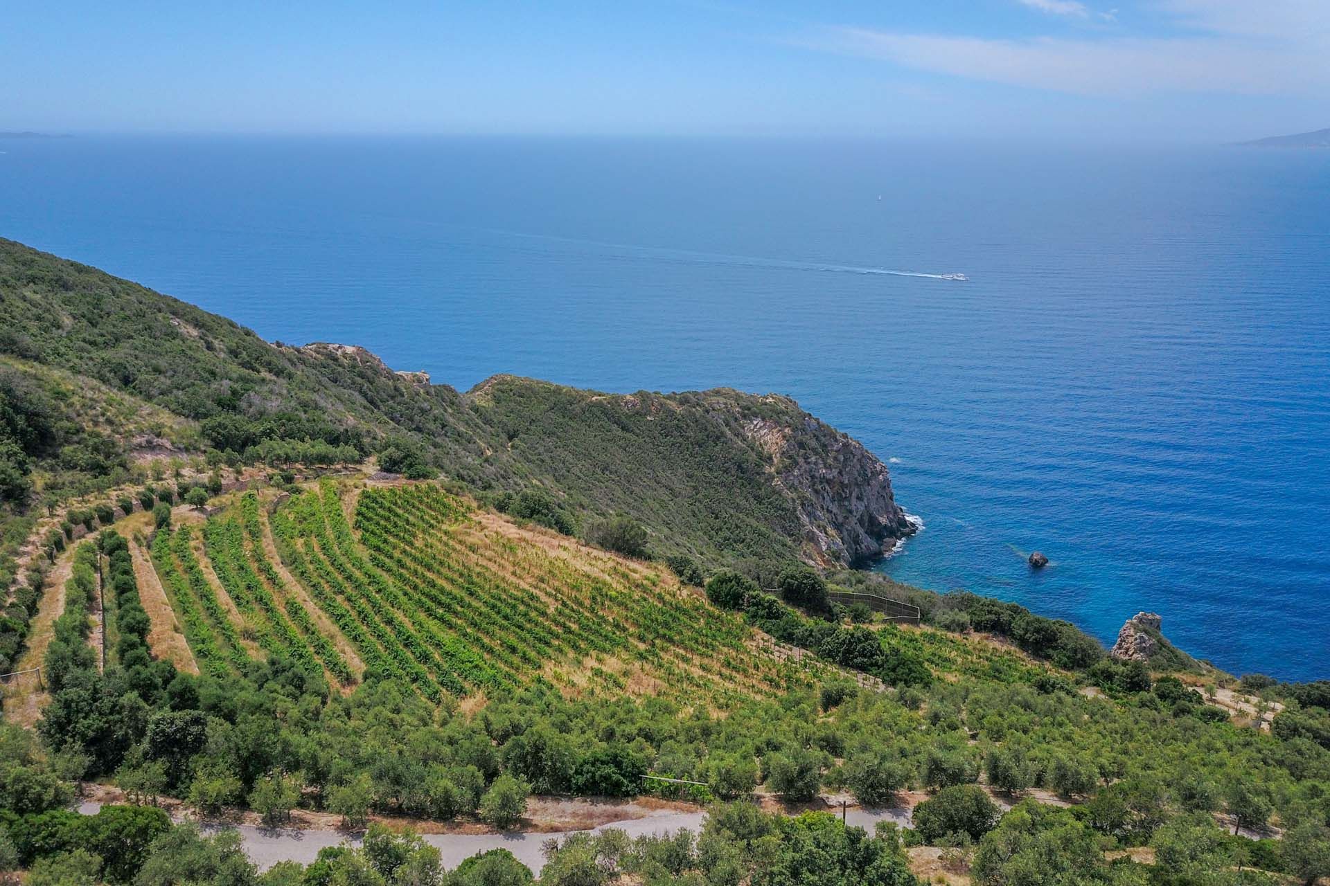 casa en Puerto Santo Stéfano, toscana 10058748