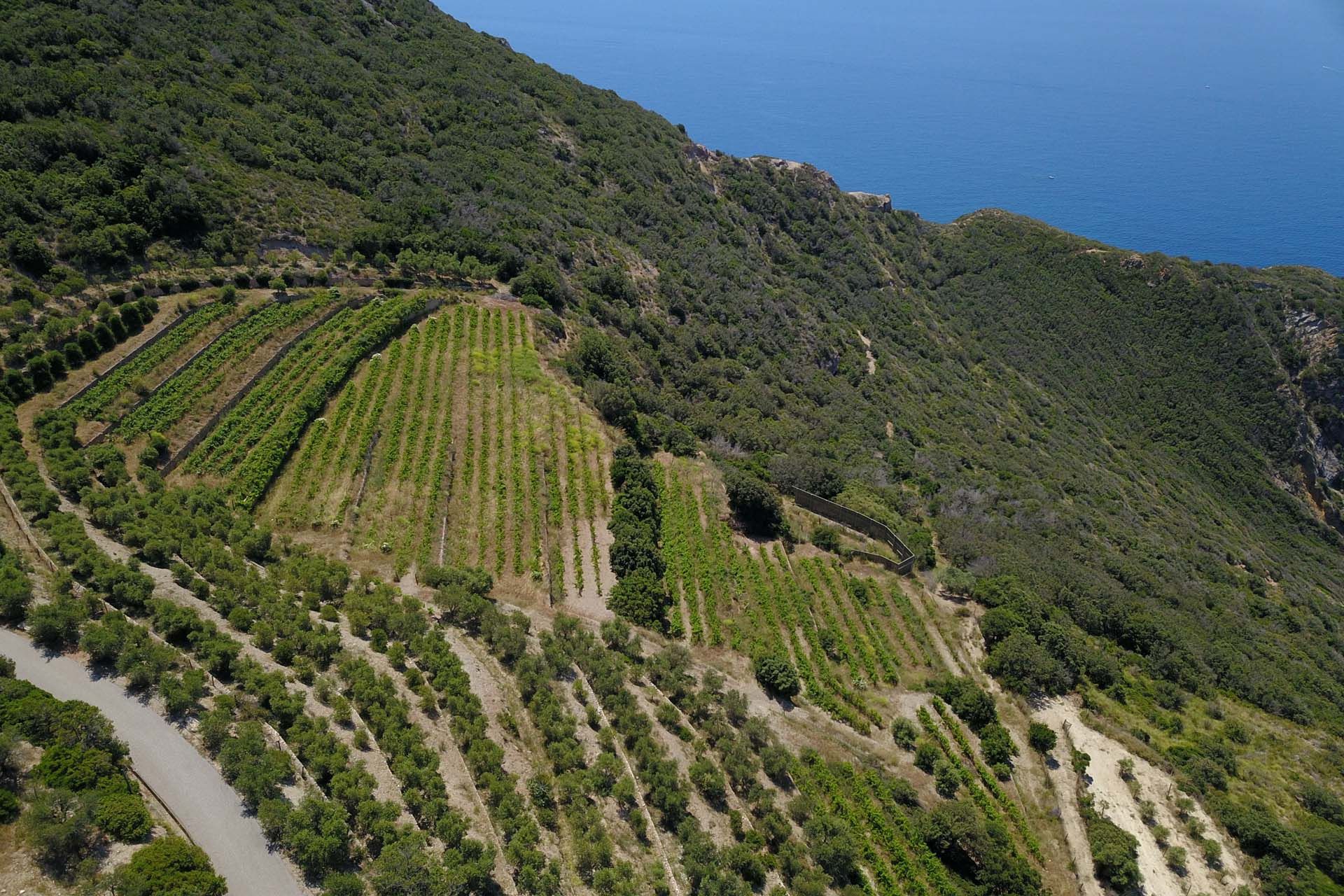 casa en Puerto Santo Stéfano, toscana 10058748