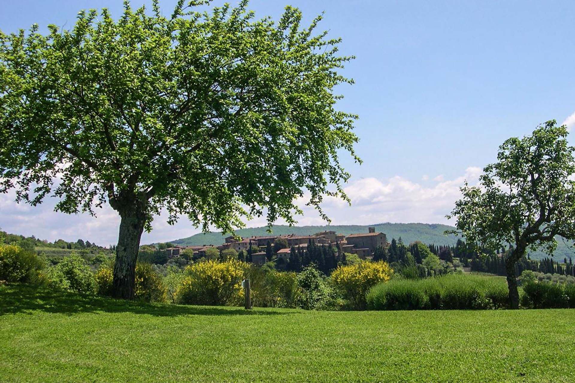 آخر في Radda in Chianti, Siena 10058798