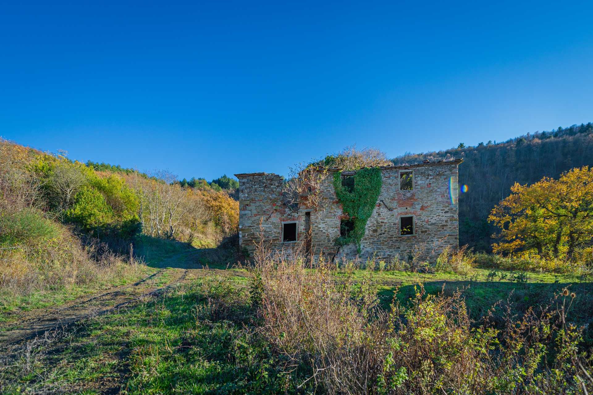 Otro en Florencia, toscana 10058813