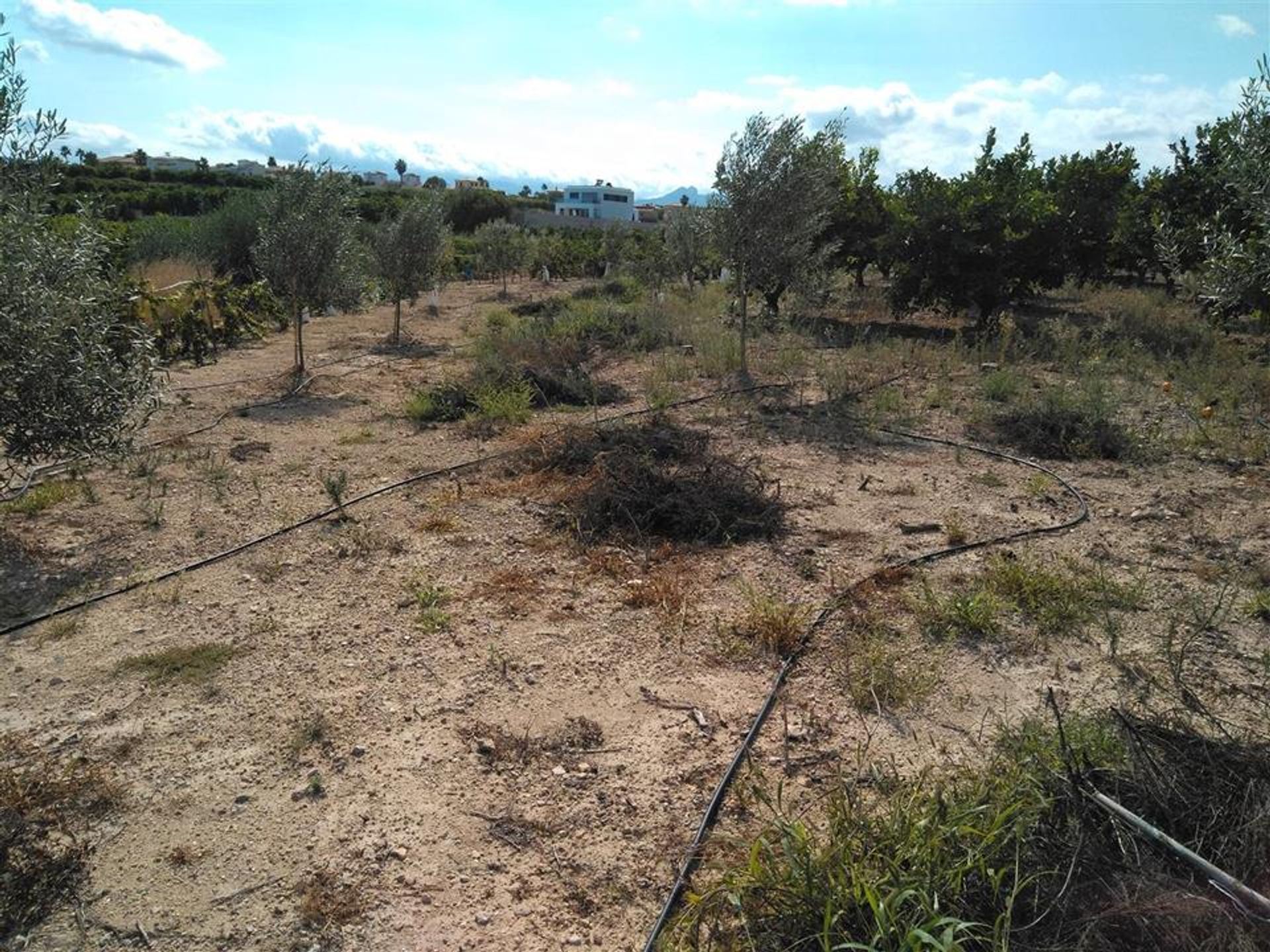 Συγκυριαρχία σε Οντάρα, Βαλένθια 10059205