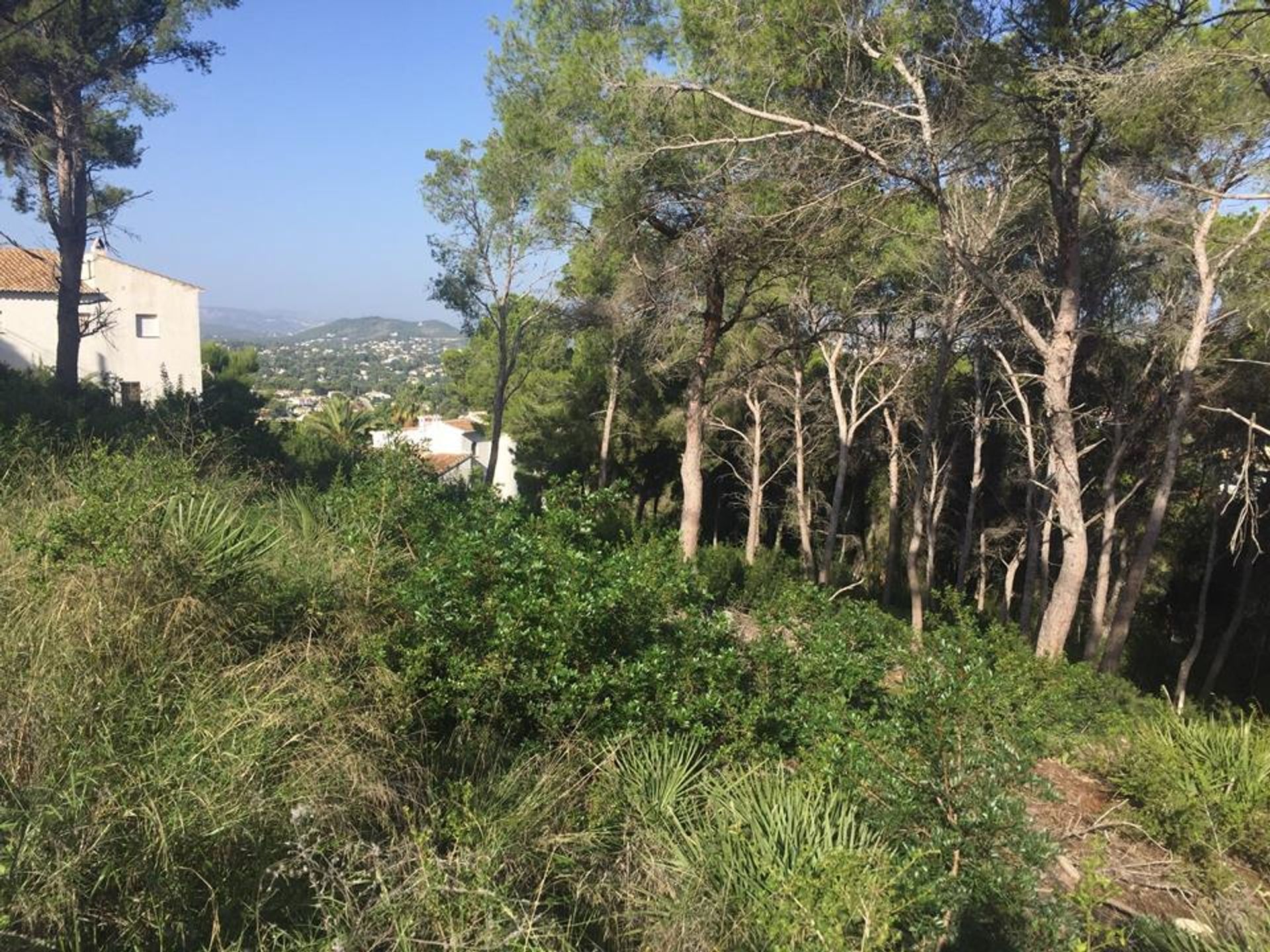 Land in Javea, Valencia 10059295