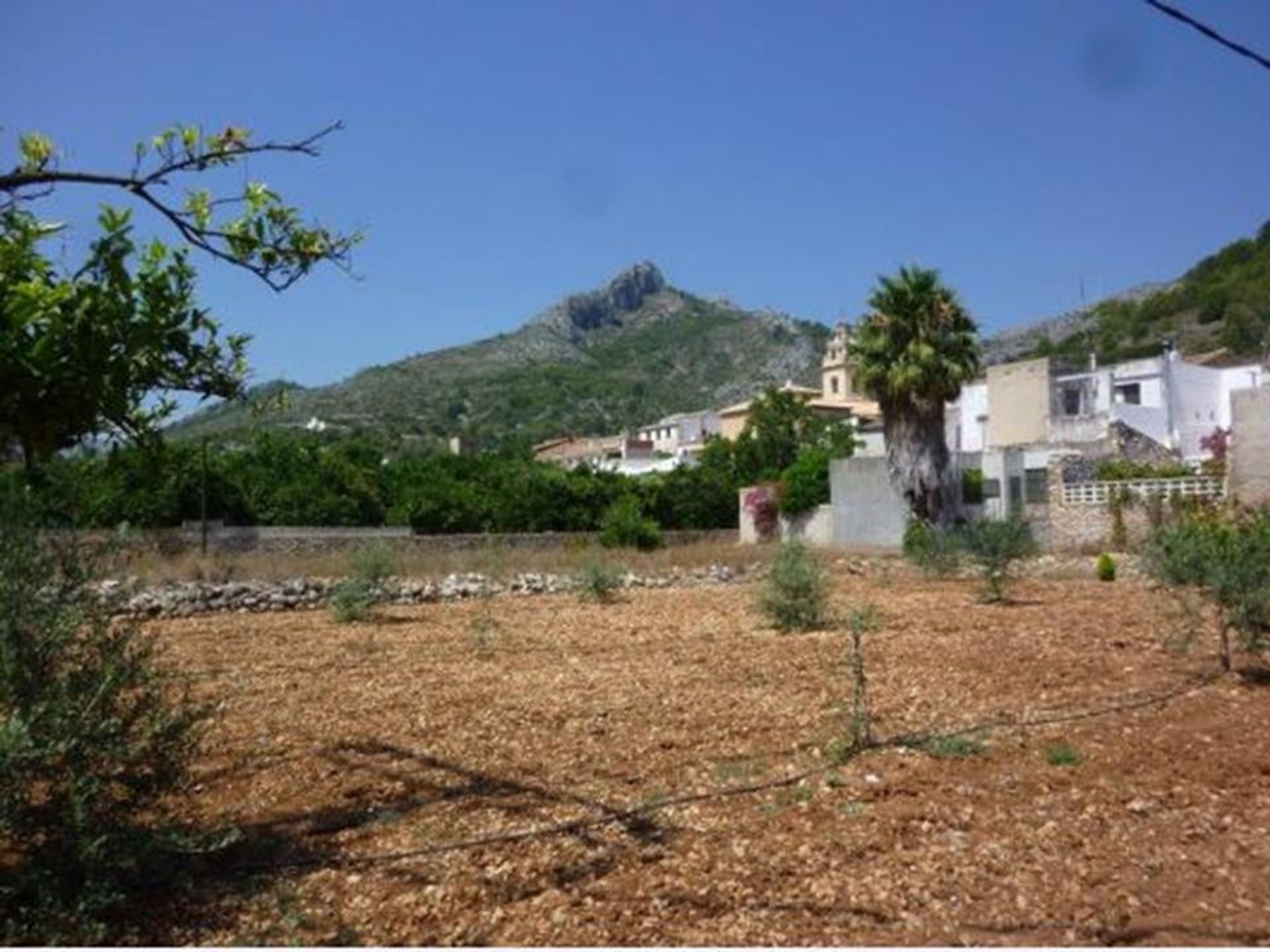 Land i Sagra, Alicante 10059355