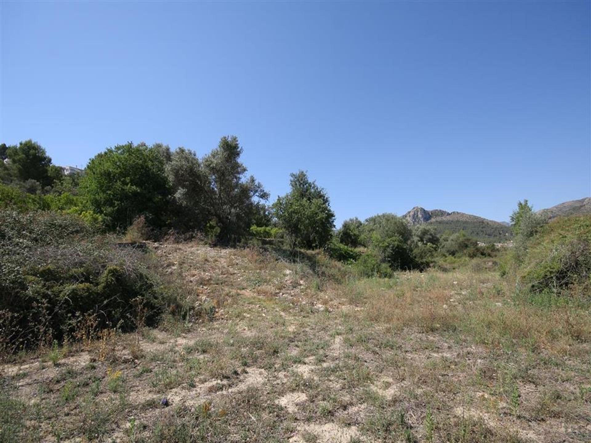 Land in Tormos, Valencia 10059389