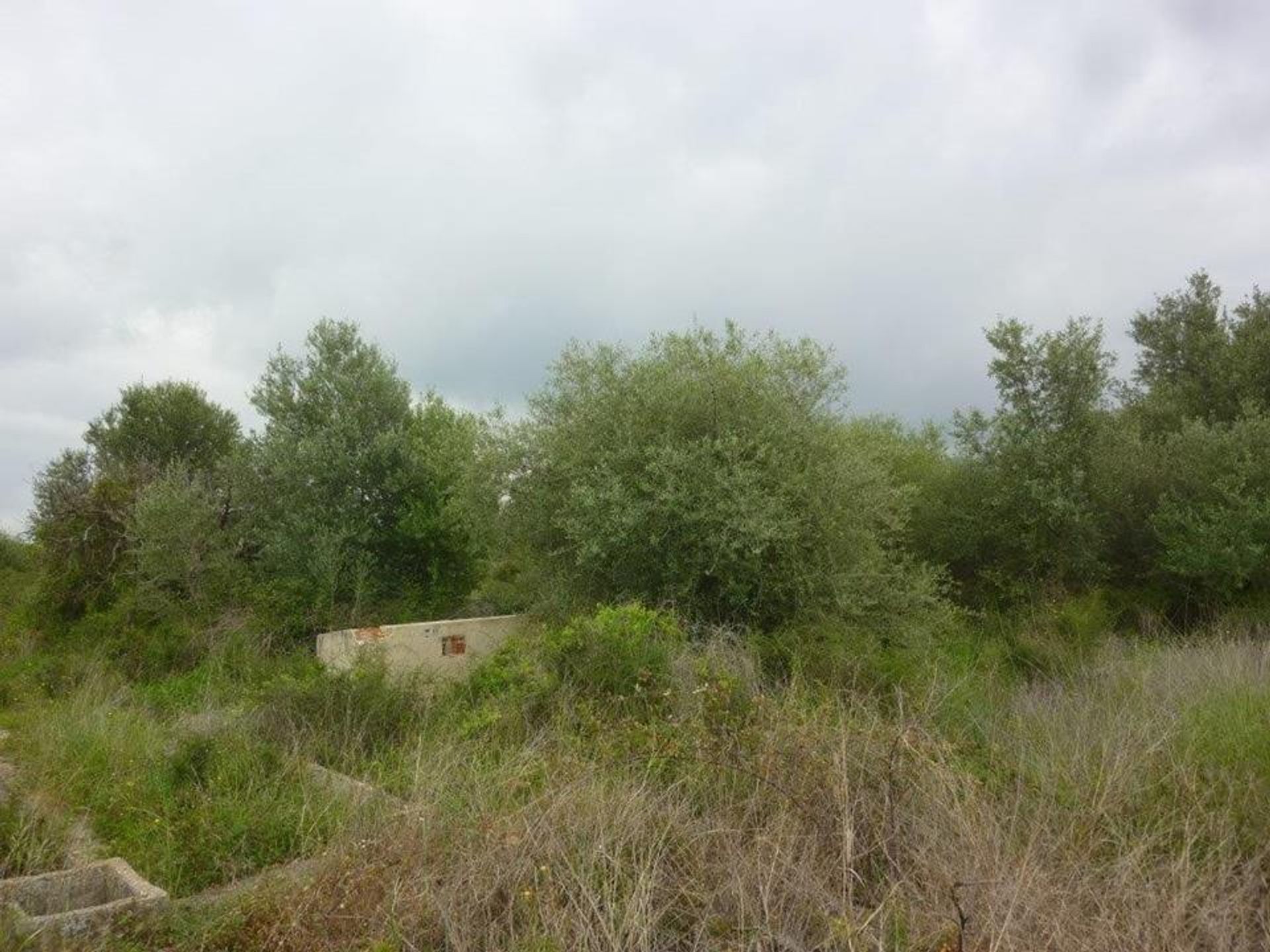 Land in Benidoleig, Valencia 10059401