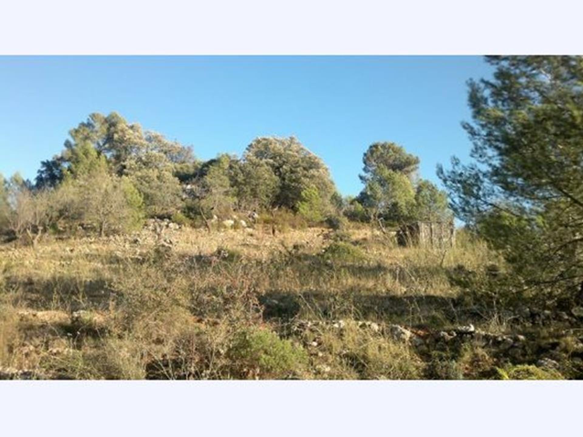 ארץ ב La Vall de Laguar, Alicante 10059414