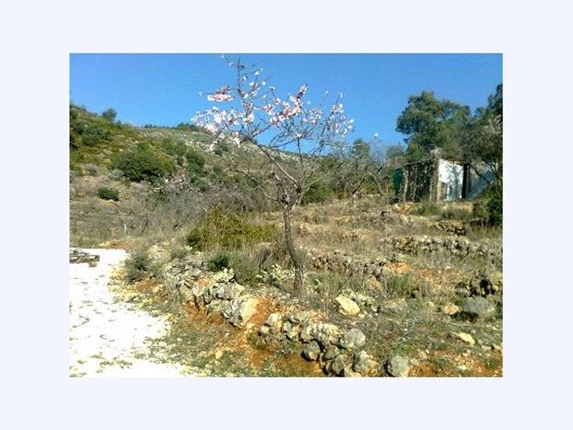 Terra no La Vall de Laguar, Alicante 10059414