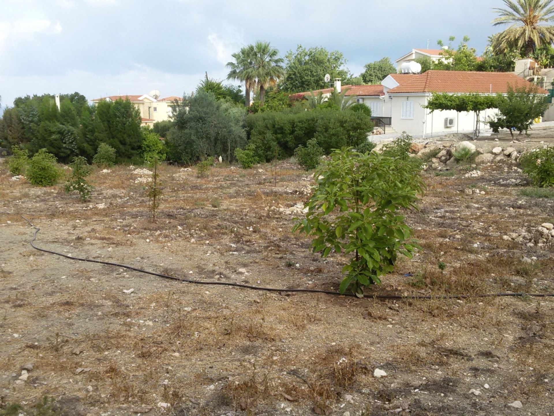 Tanah dalam Chlorakas, Pafos 10059475