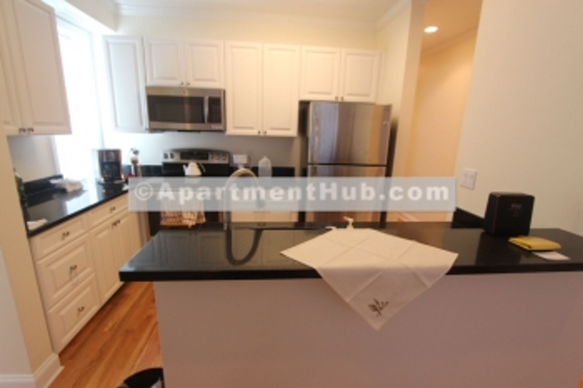 Condominium in Old Cambridge, Massachusetts 10060394