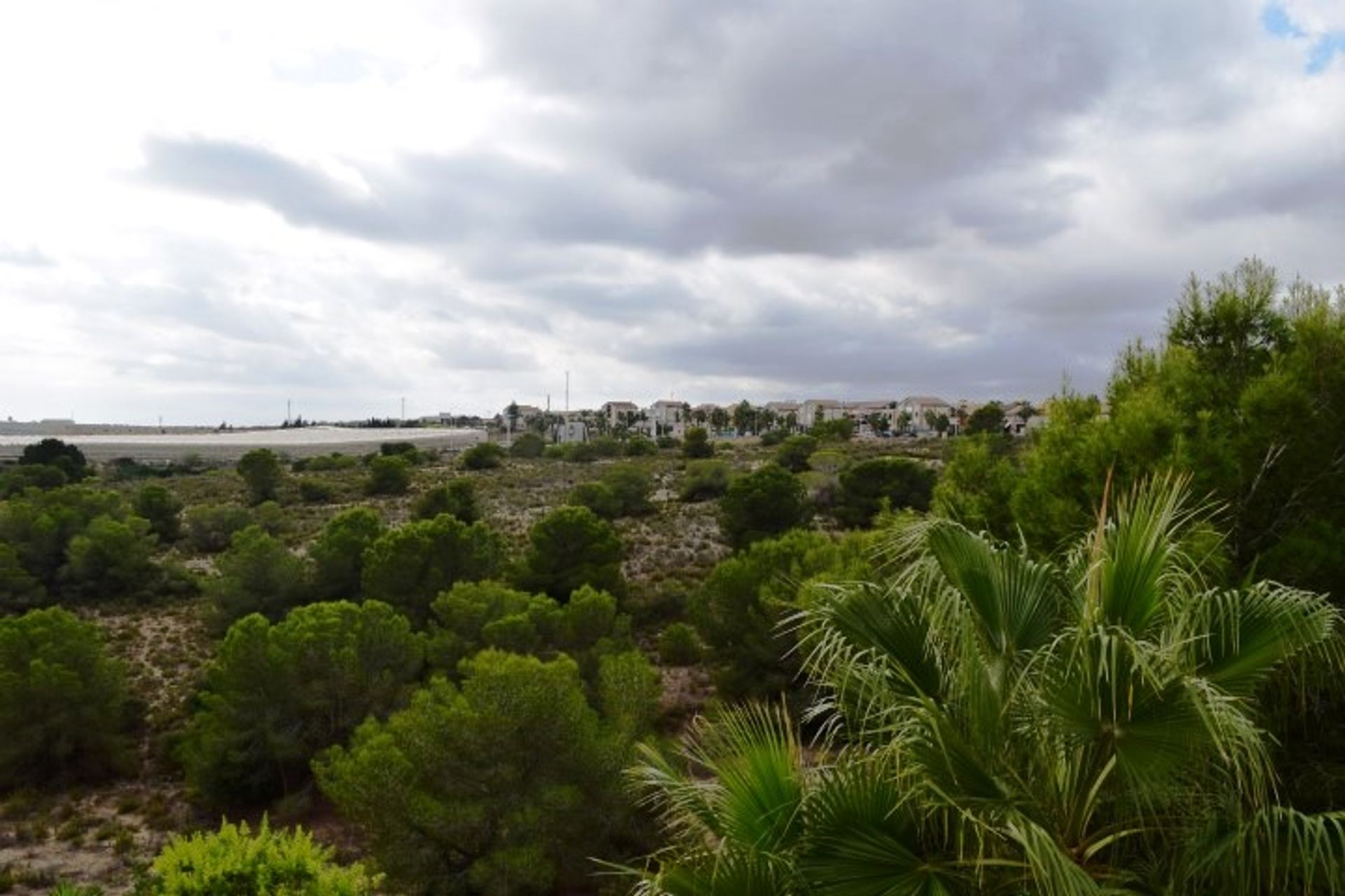 casa no Algorfa, Alicante / Costa Blanca 10060502