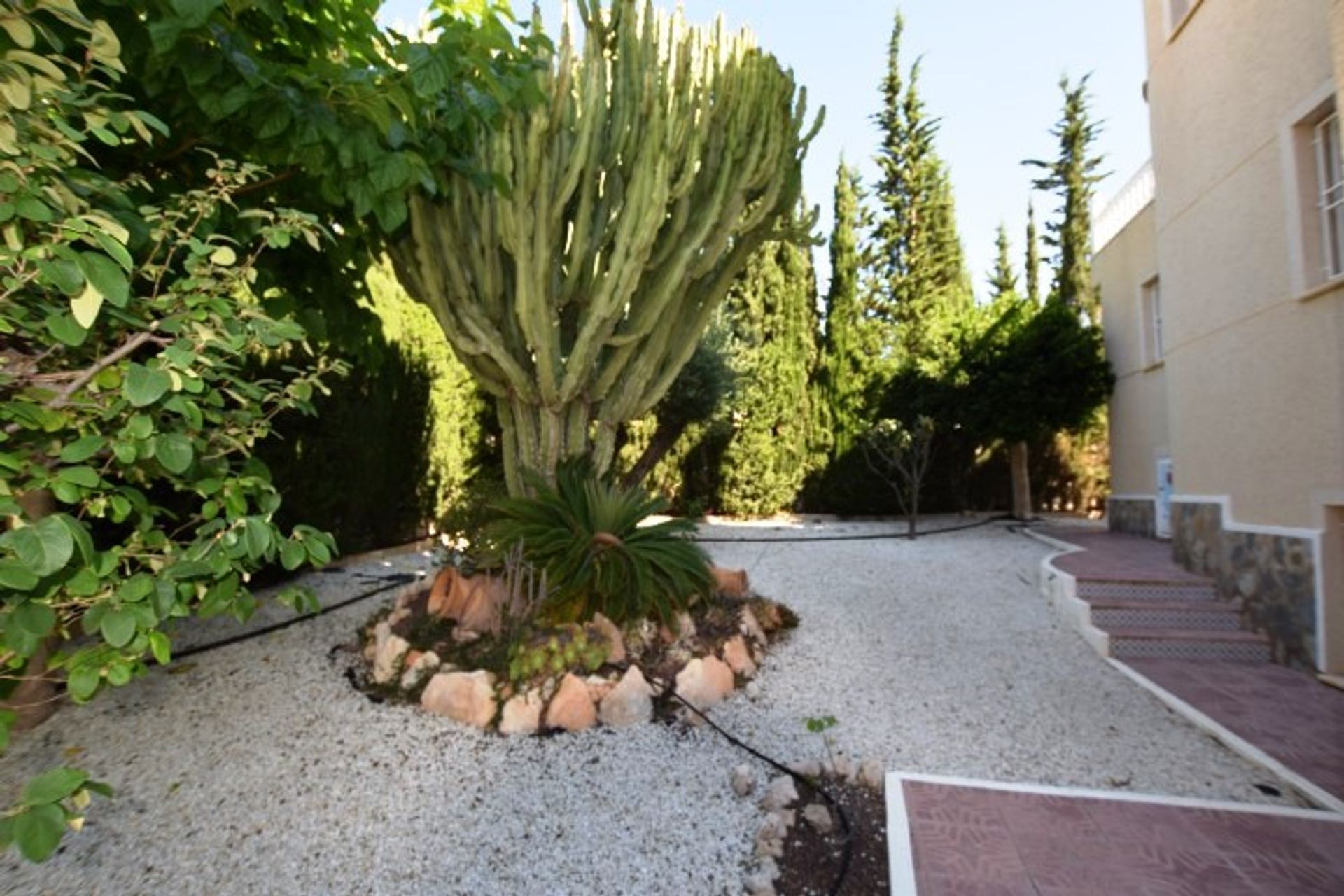 Casa nel Ciudad Quesada, Alicante / Costa Blanca 10060527