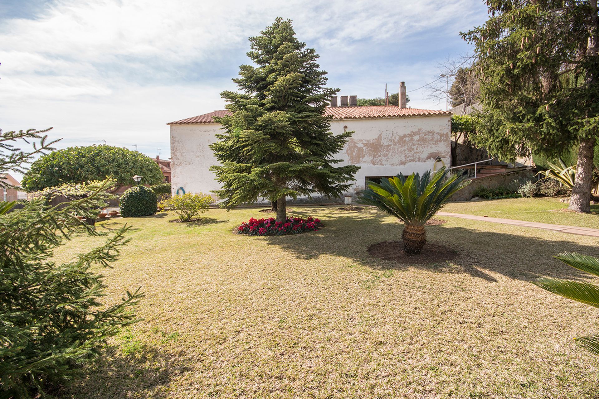 Hus i San Pedro de Premia, Catalonia 10061777