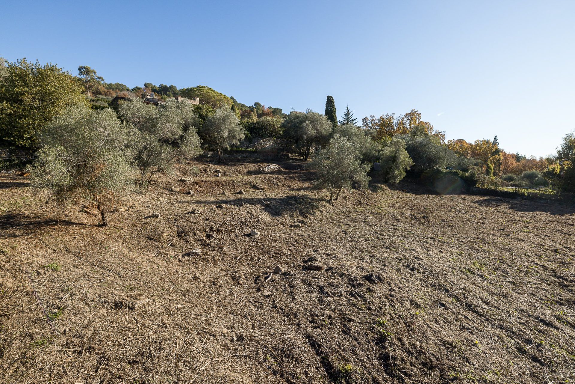 عمارات في Mouans-Sartoux, Provence-Alpes-Cote d'Azur 10062731