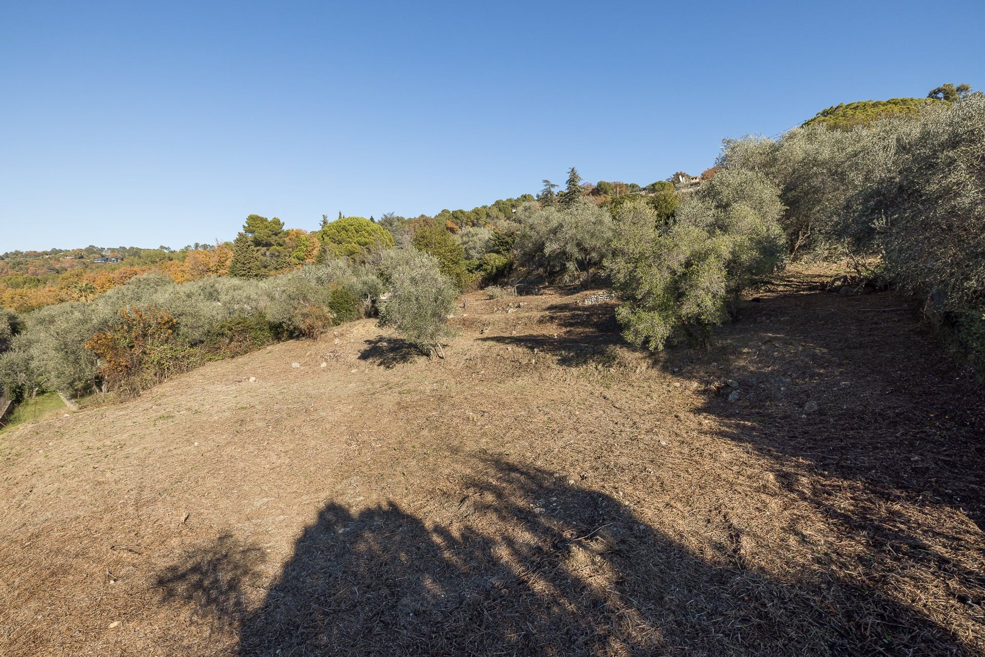 Συγκυριαρχία σε Mouans-Sartoux, Provence-Alpes-Cote d'Azur 10062731