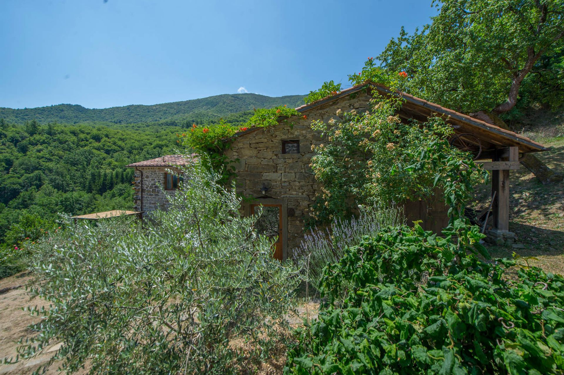 Casa nel Caprese Michelangelo, Arezzo 10062782