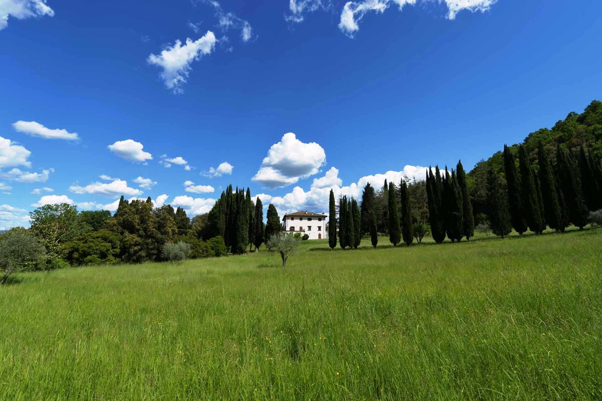 casa no Florença, Toscana 10062819