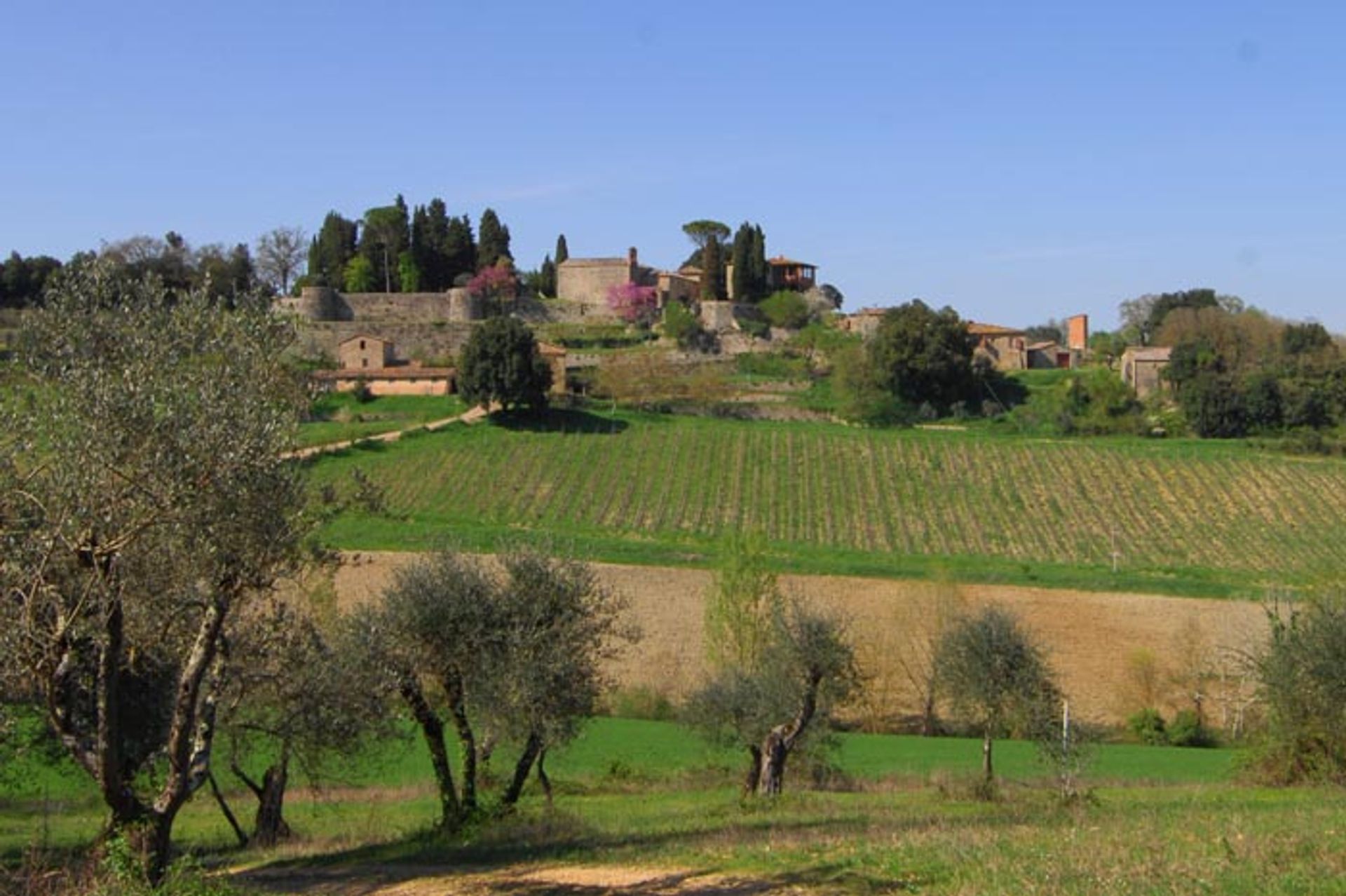 Outro no Siena, Tuscany 10062853