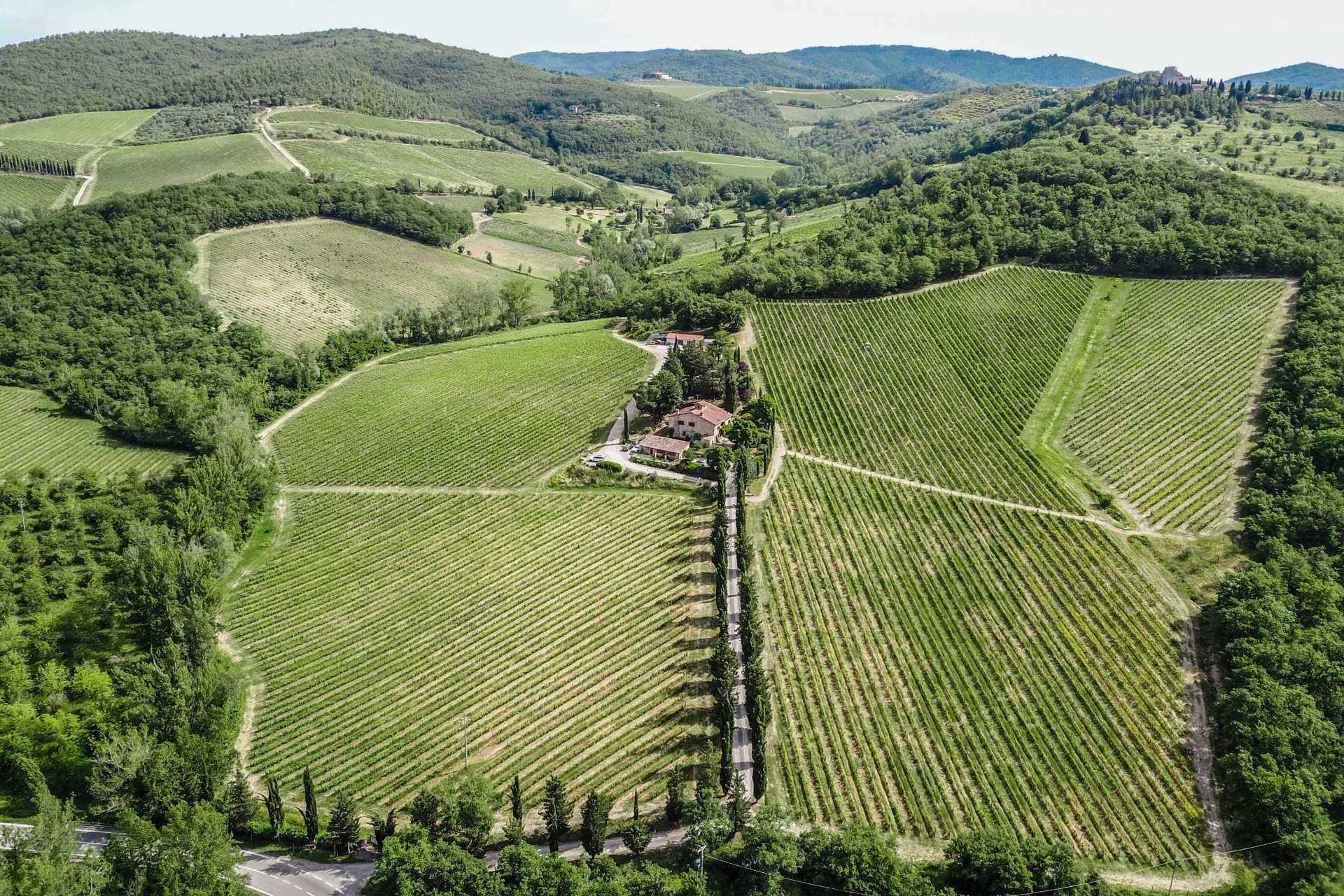 Muu sisään Gaiole in Chianti, Toscana 10062934