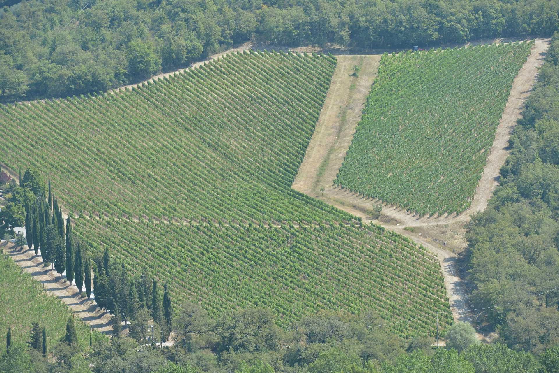 अन्य में Gaiole In Chianti, Siena 10062934