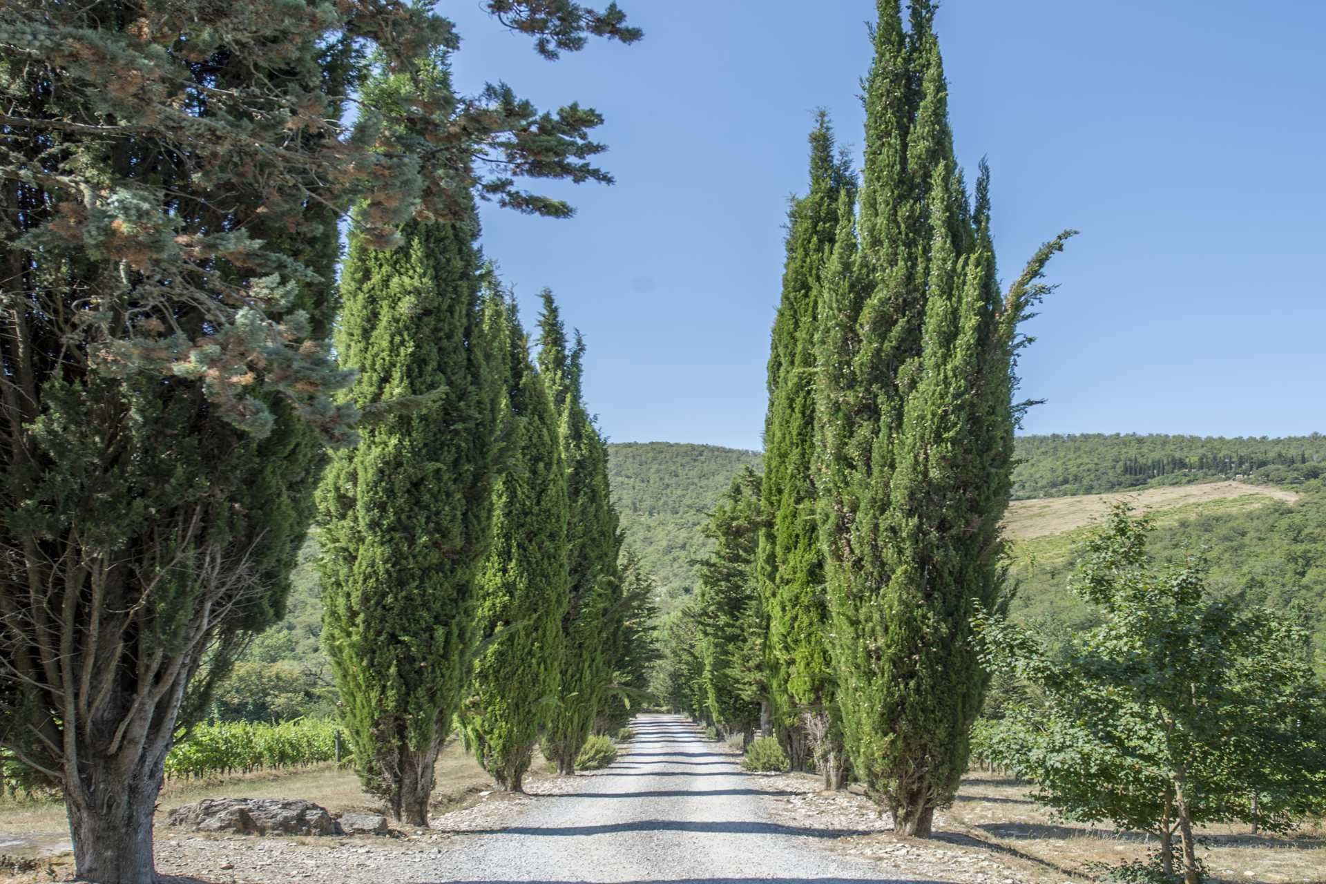 अन्य में Gaiole In Chianti, Siena 10062934