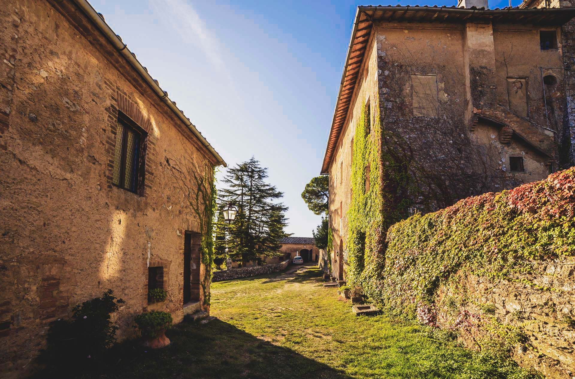 Lain di Siena, Siena 10062957