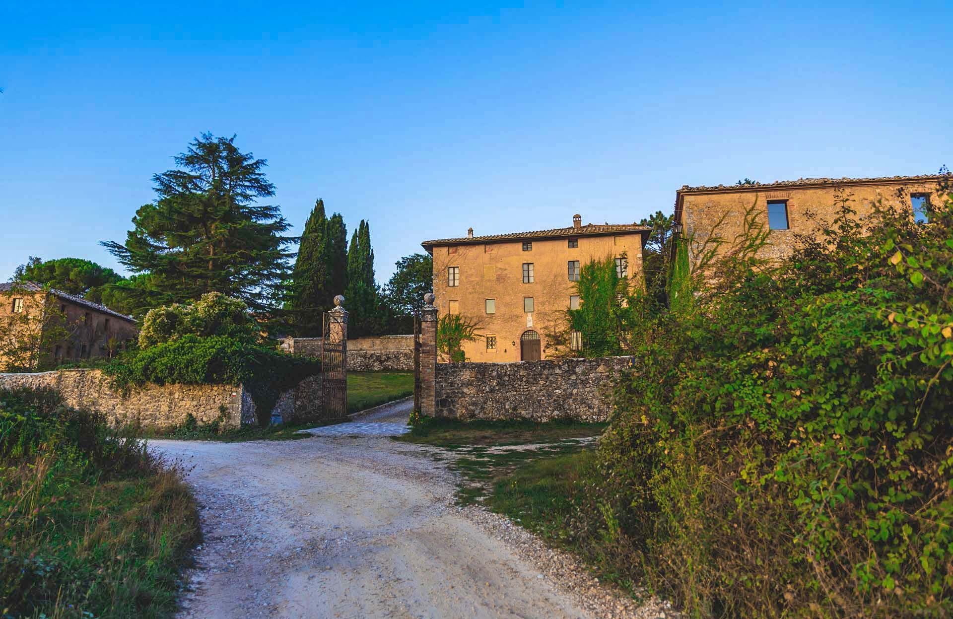 Lain di Siena, Siena 10062957