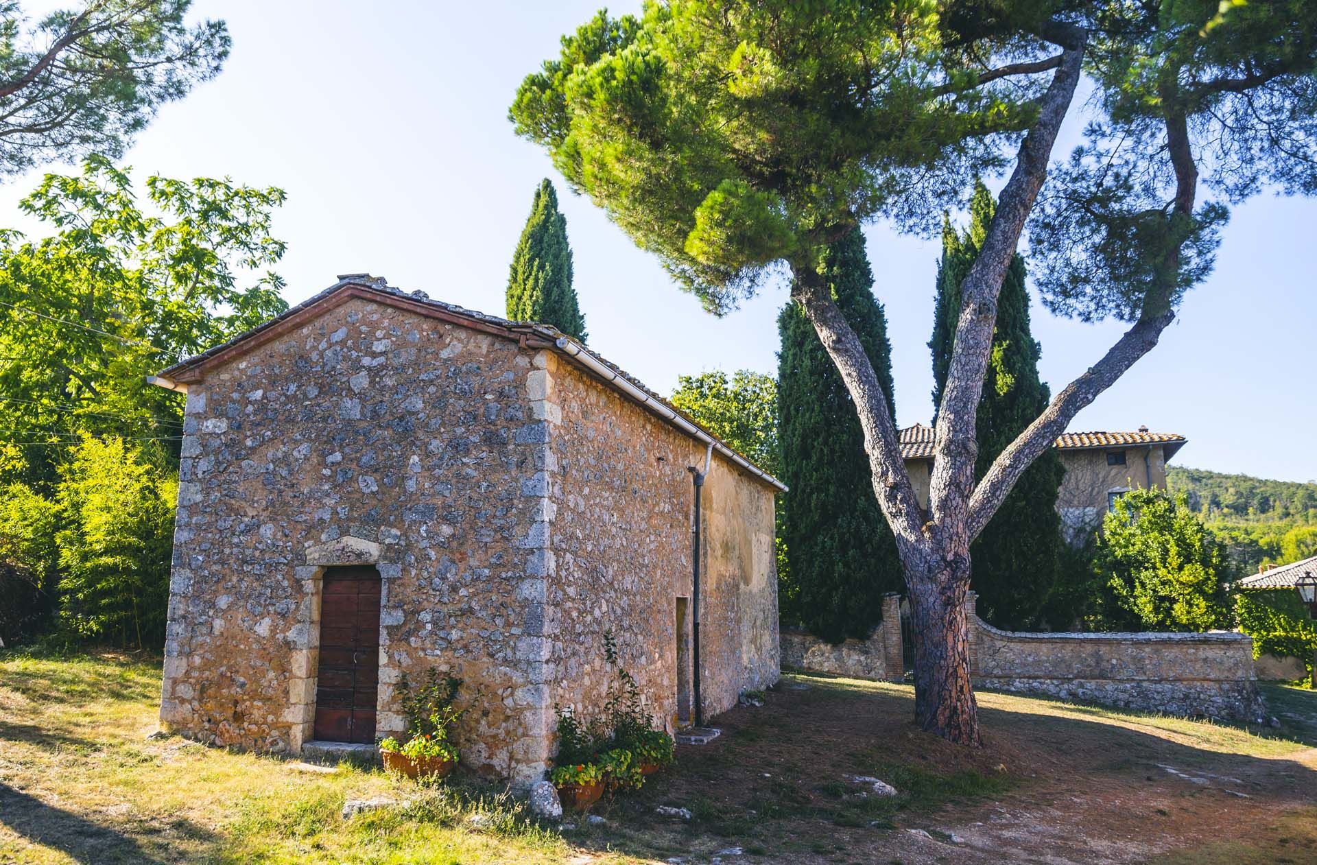 Lain di Siena, Siena 10062957