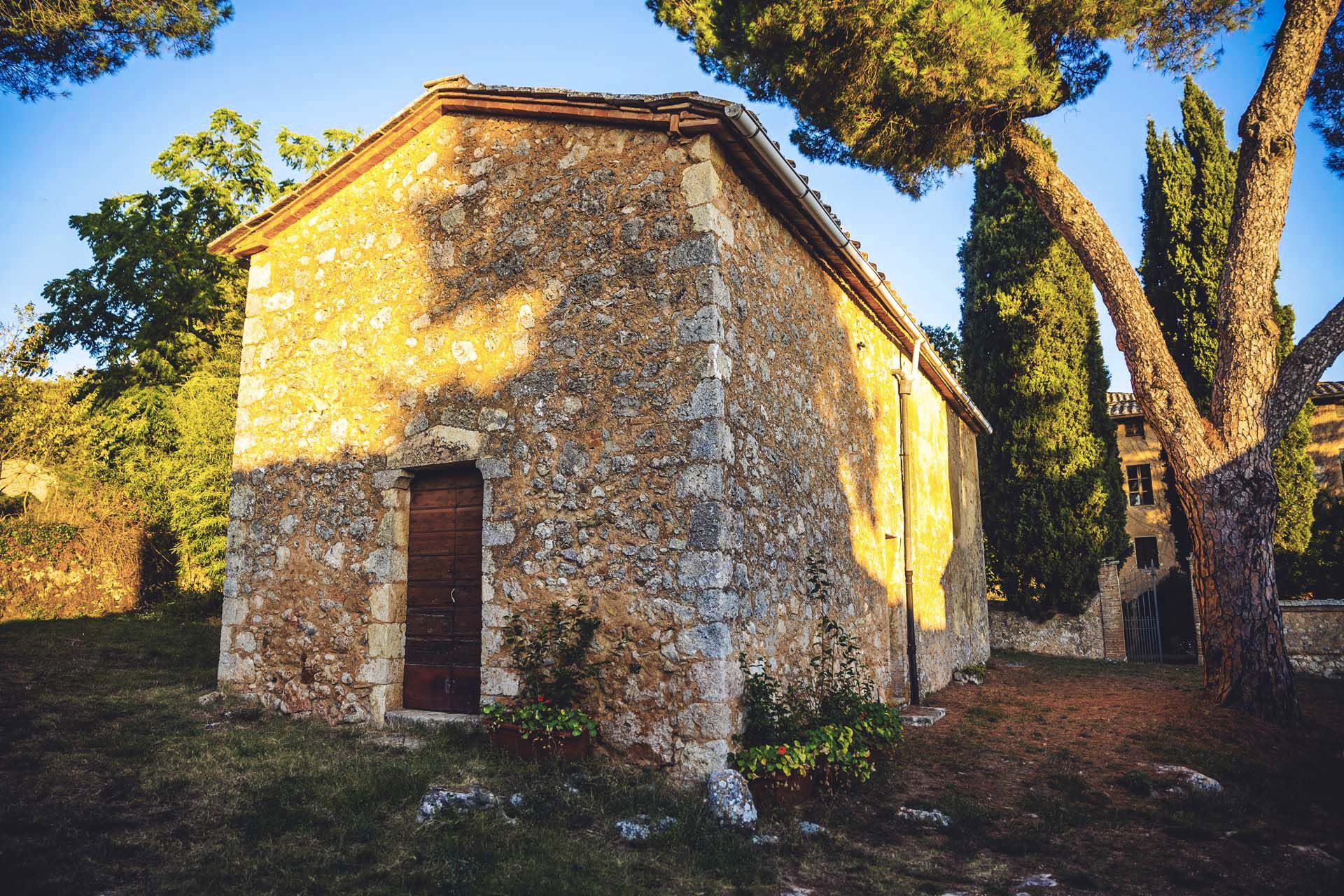 Lain di Siena, Siena 10062957