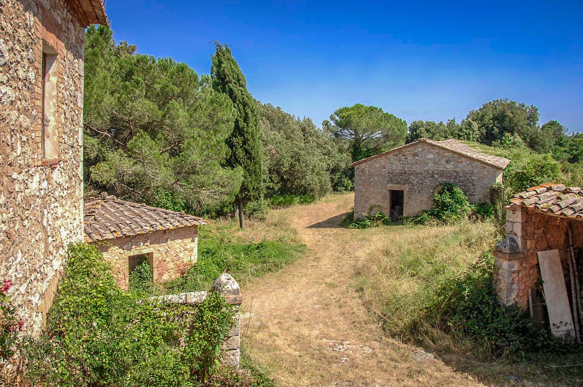 Lain di Siena, Siena 10062957