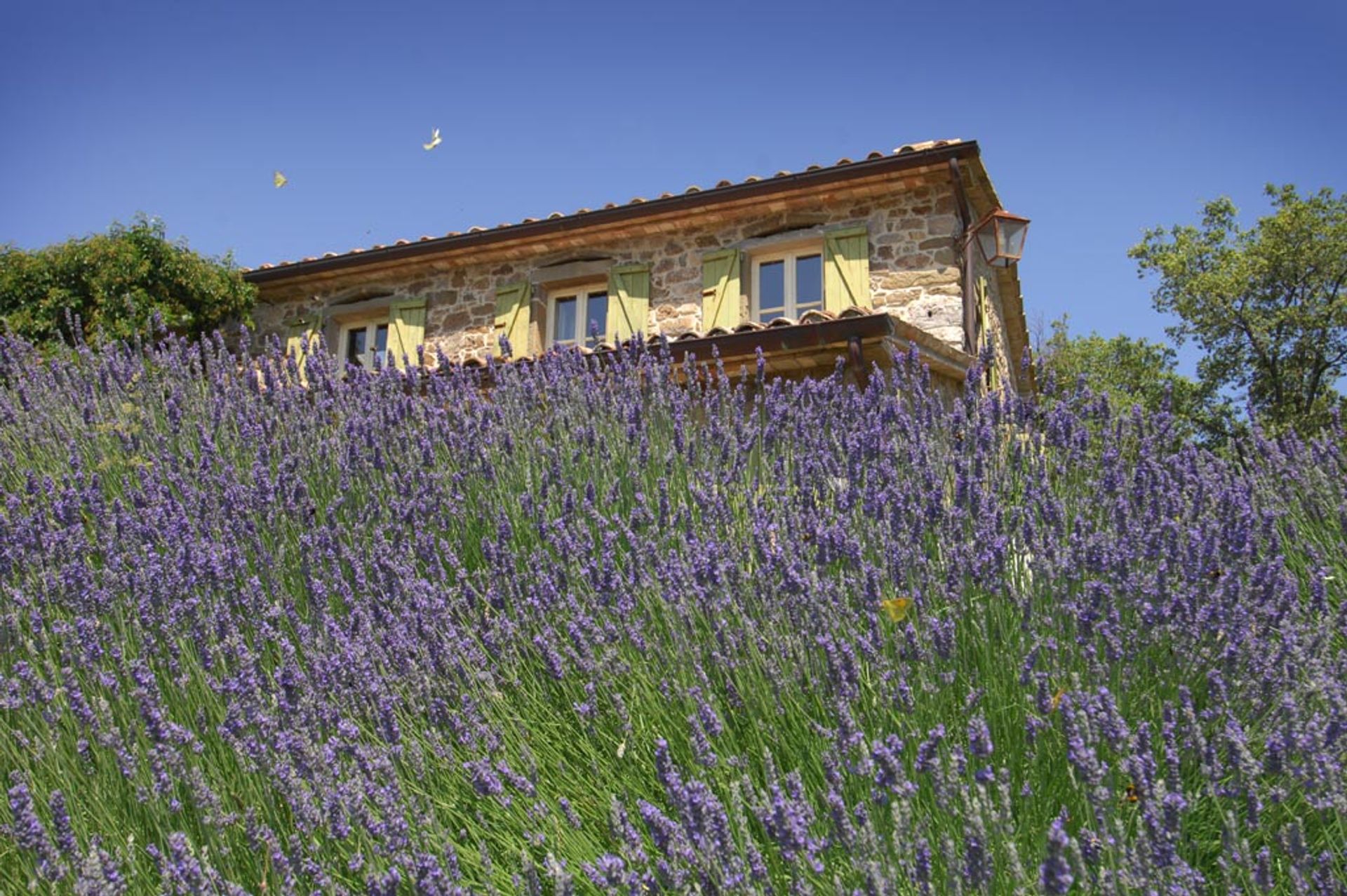 Casa nel Cortona, Arezzo 10062972