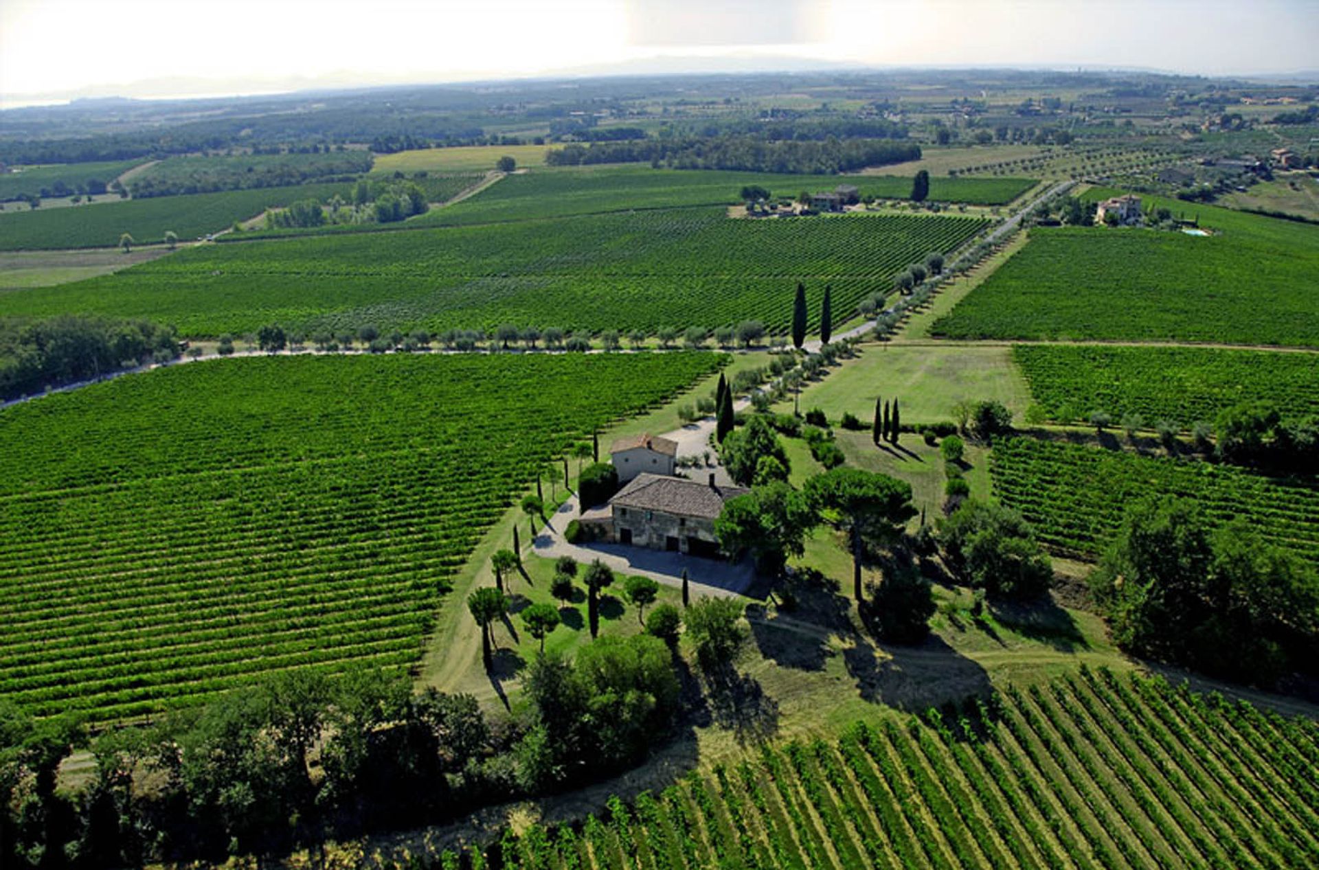 آخر في Montepulciano, Siena 10063123