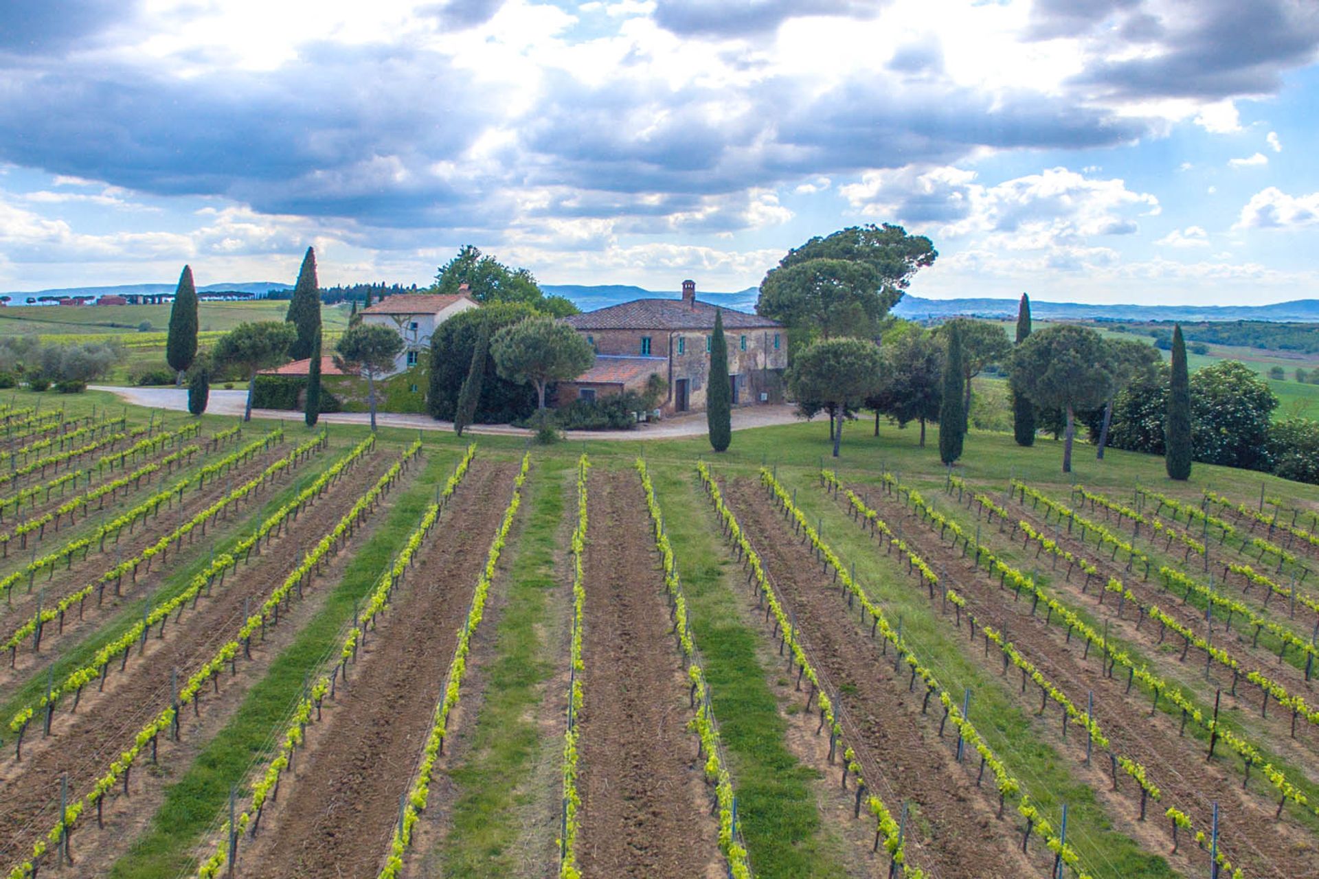 Muu sisään Montepulciano, Siena 10063123