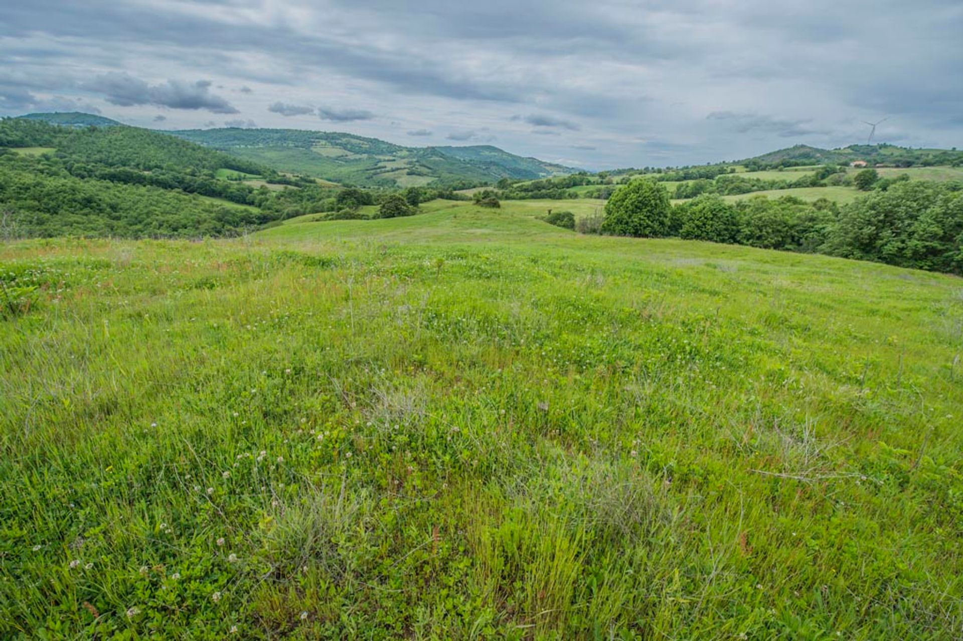 Andet i Scansano, Toscana 10063155