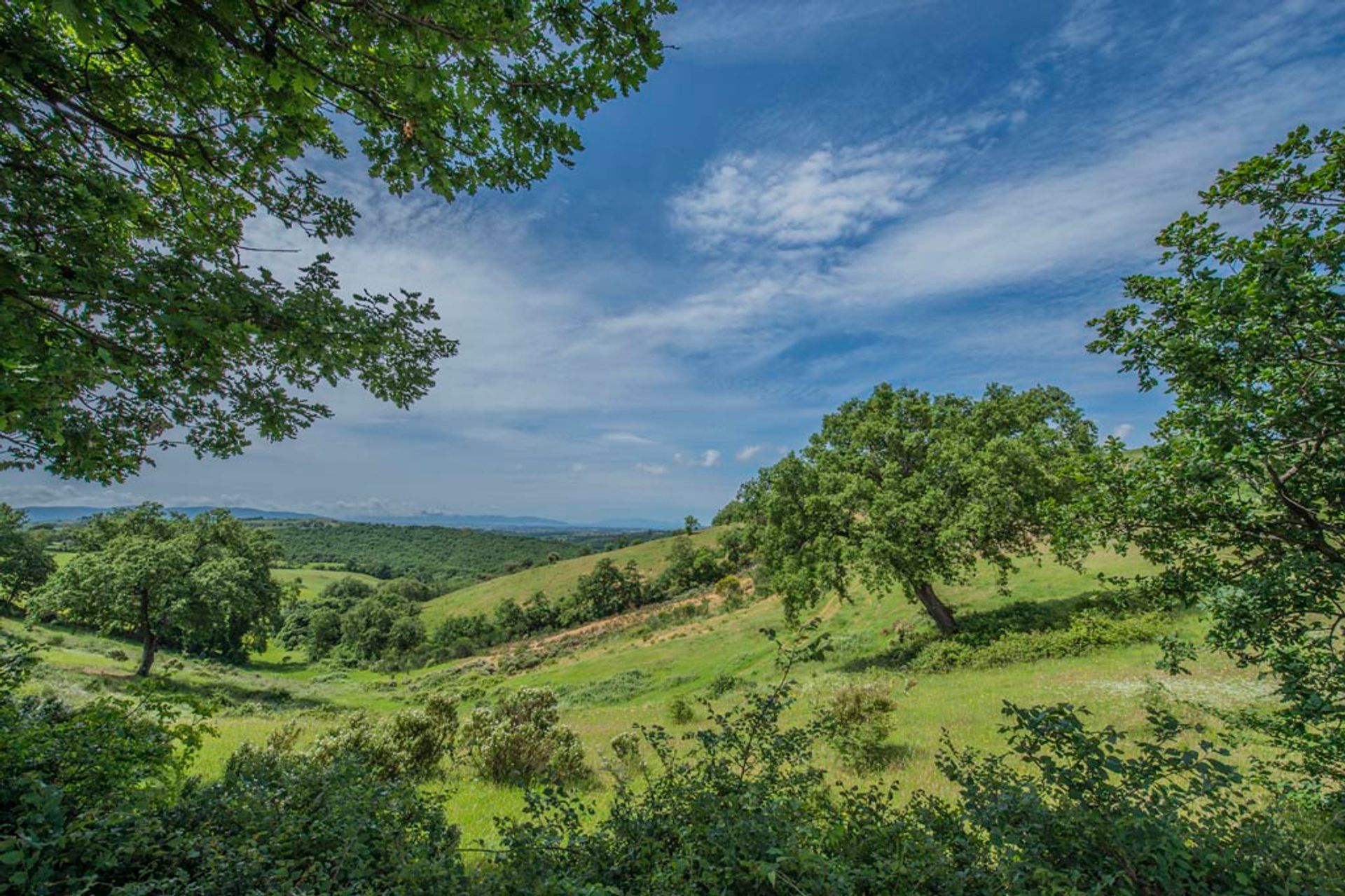 אַחֵר ב Scansano, Tuscany 10063158